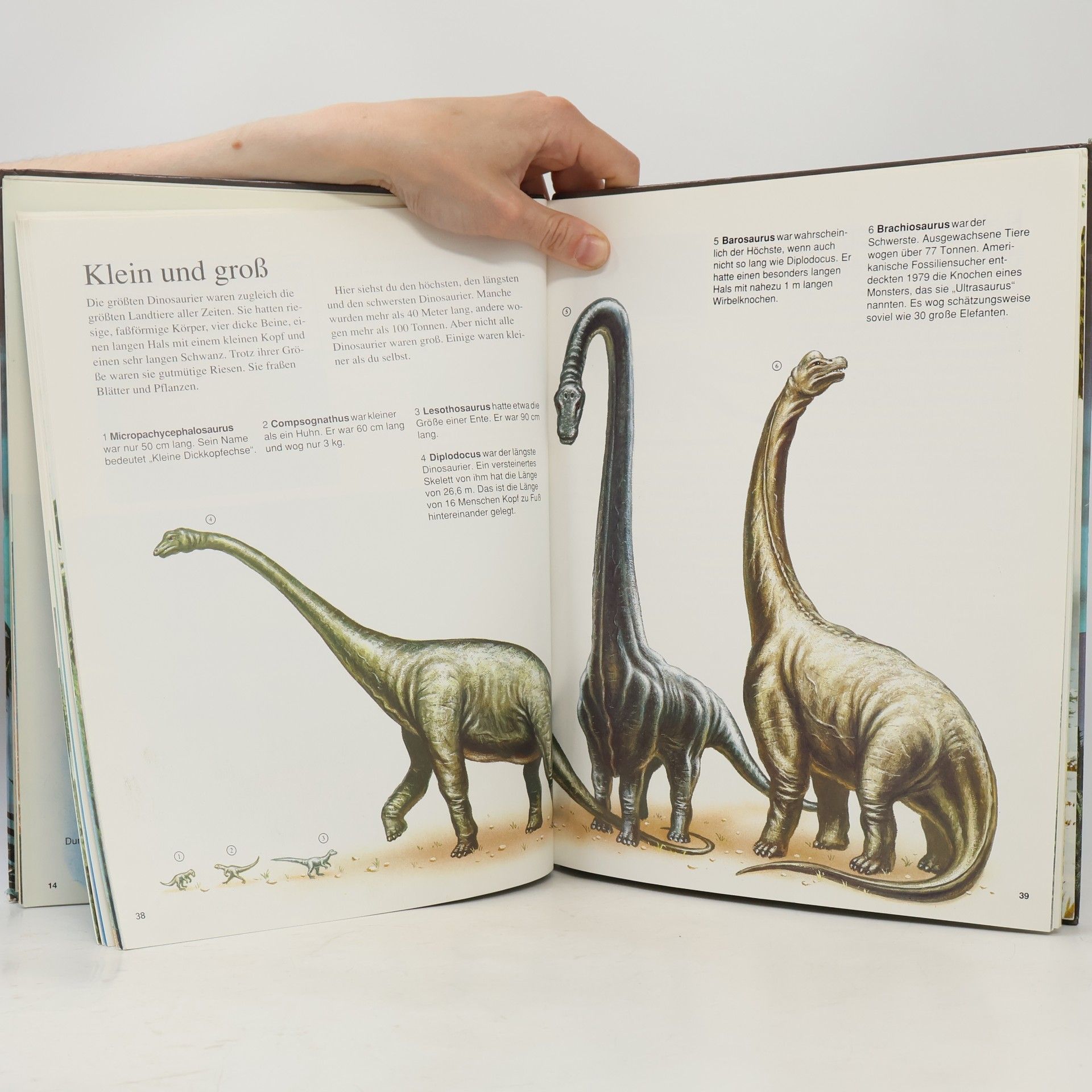 David A. Hardy Das große Buch der Dinosaurier