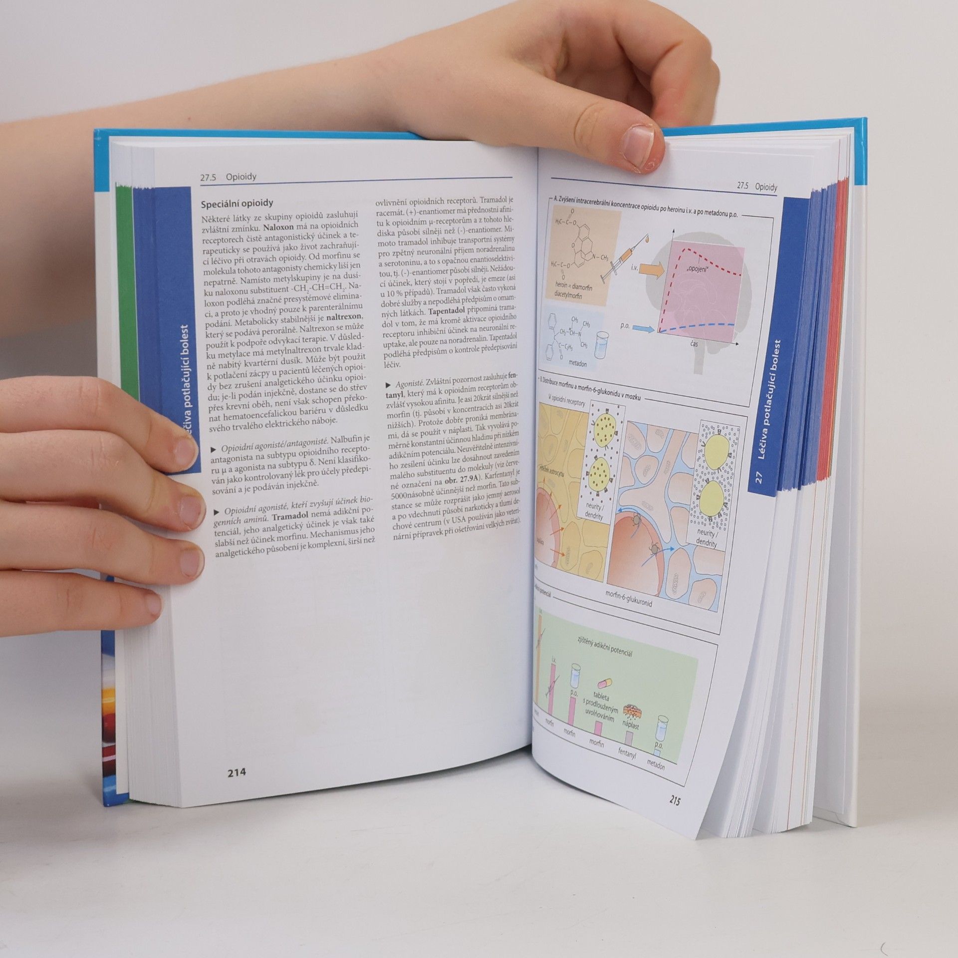 Heinz Lullmann Barevný atlas farmakologie