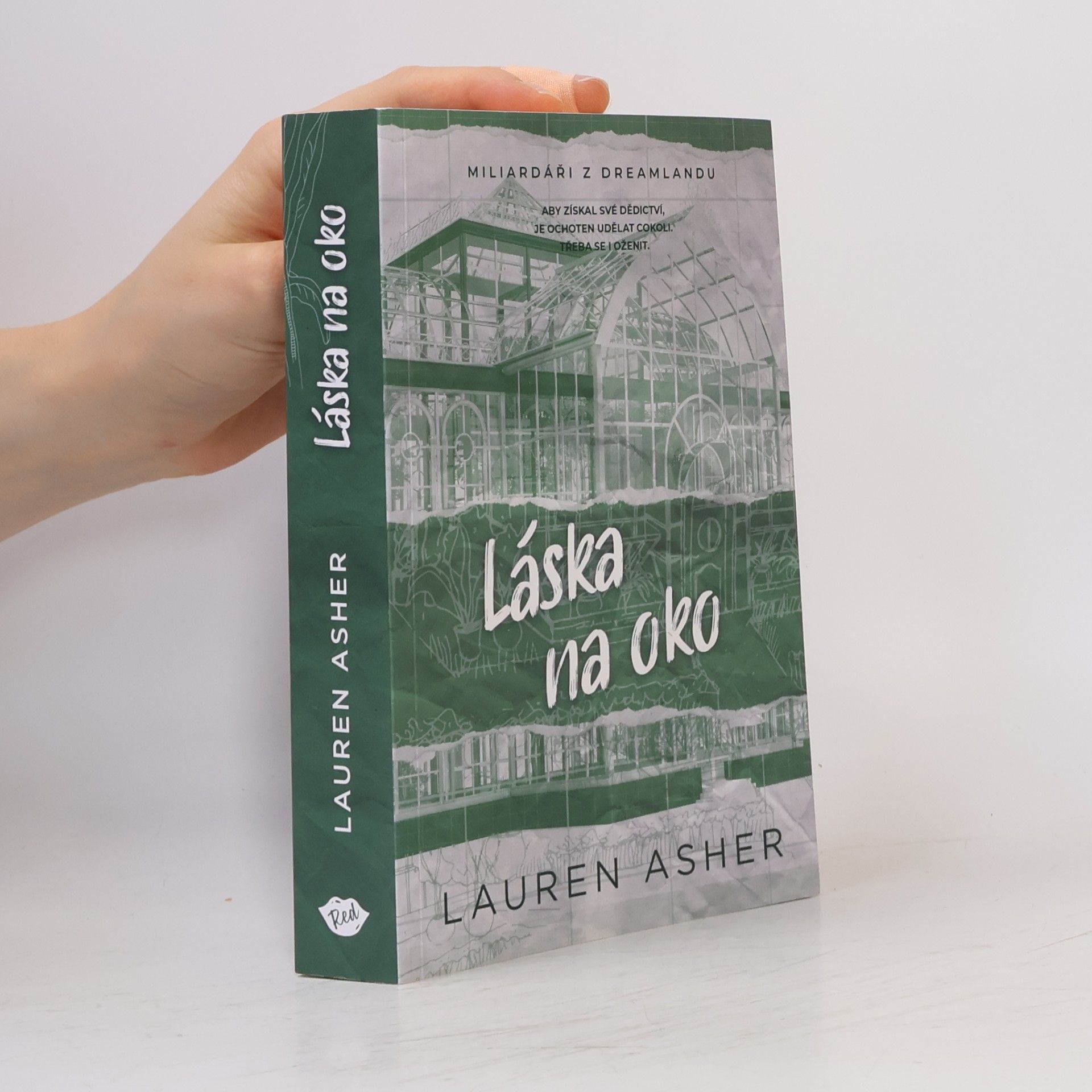 Lauren Asher Láska na oko