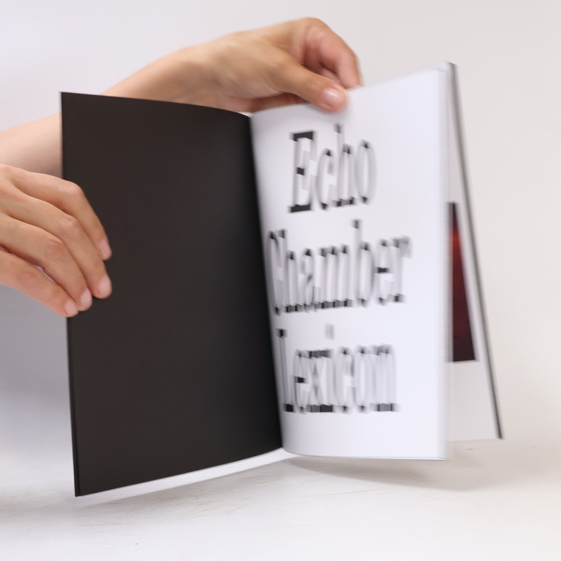 Kolektiv autorů Lexikon Komnaty Ozvěn. Echo Chamber Lexicon