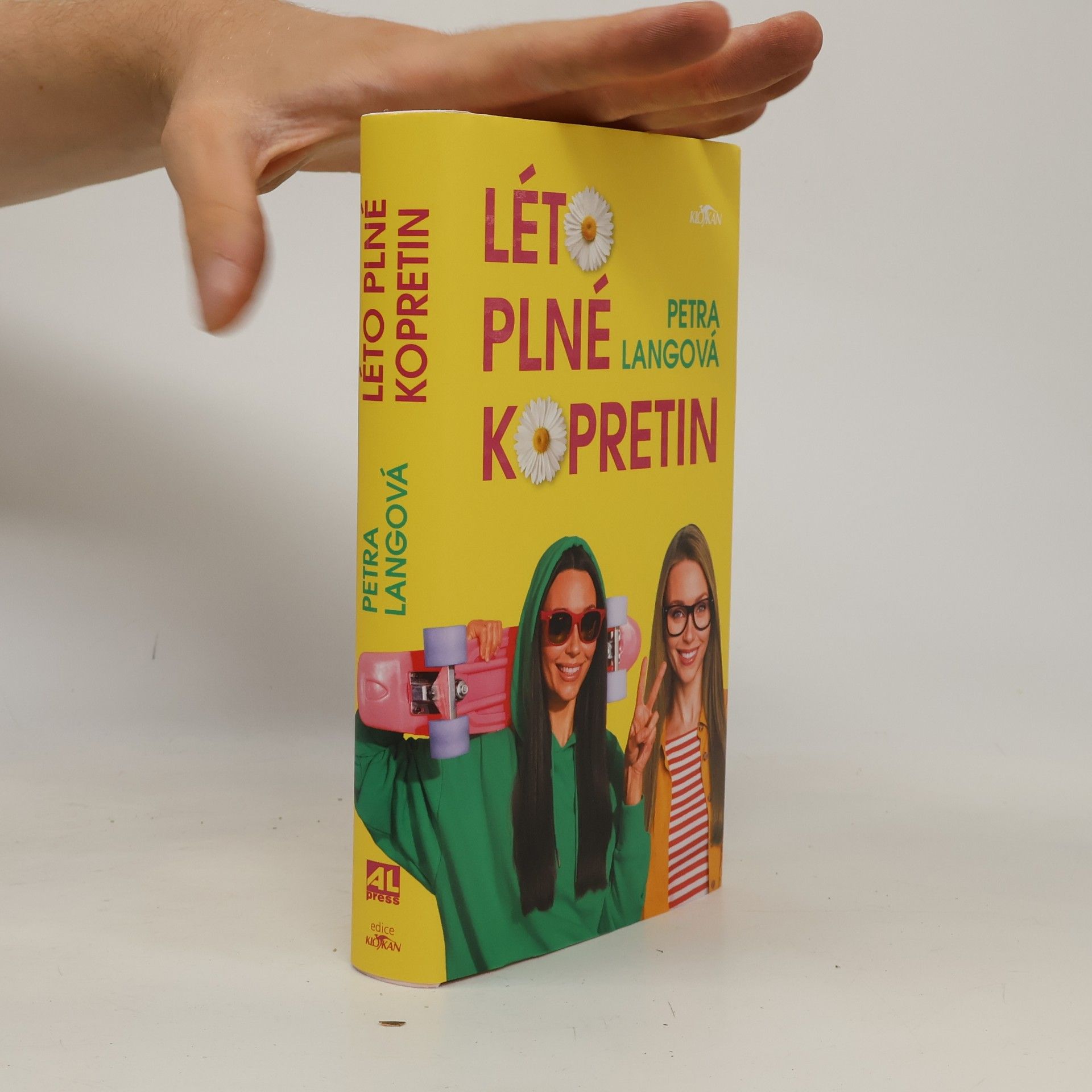 Léto plné kopretin