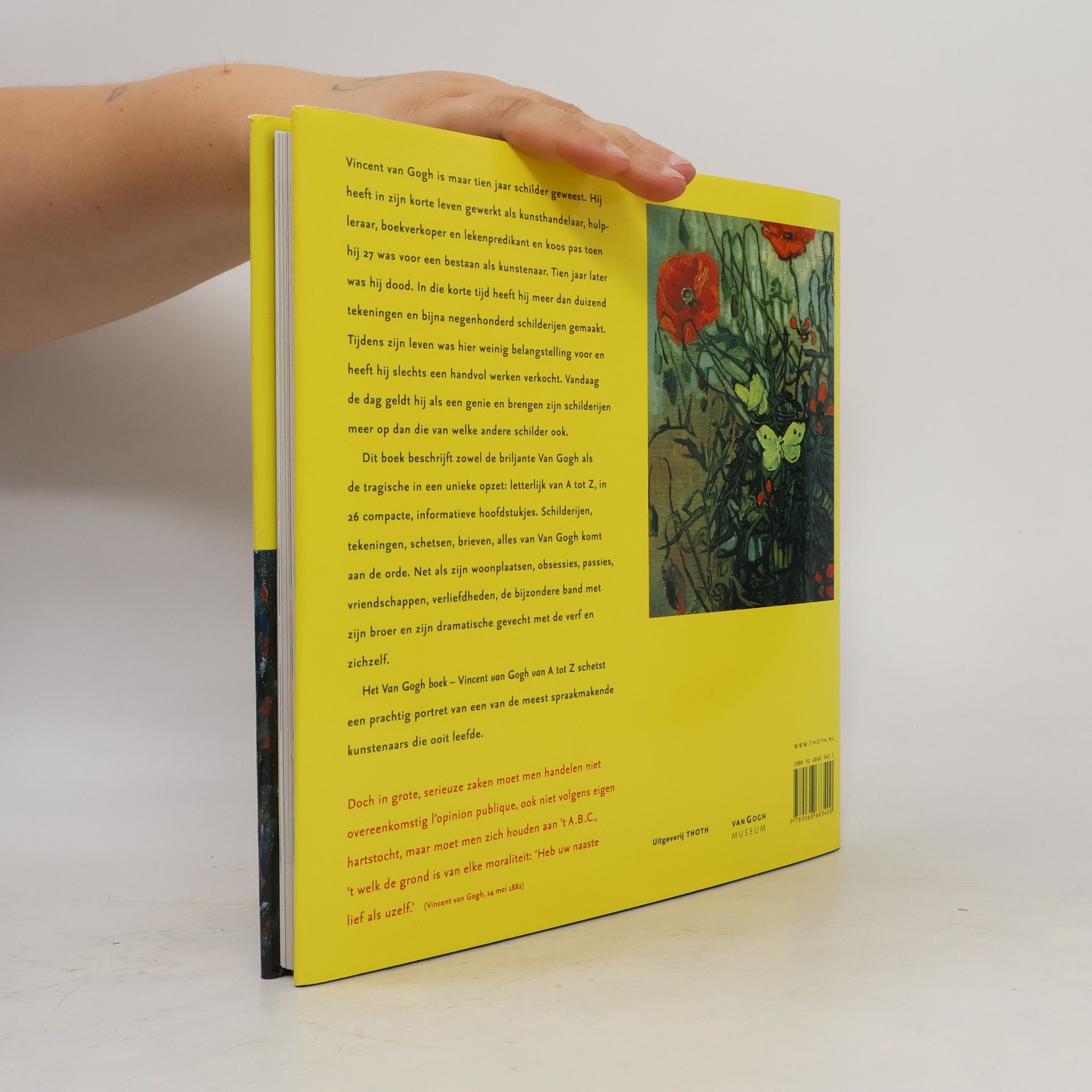 Shelley Rohde Het Van Gogh boek