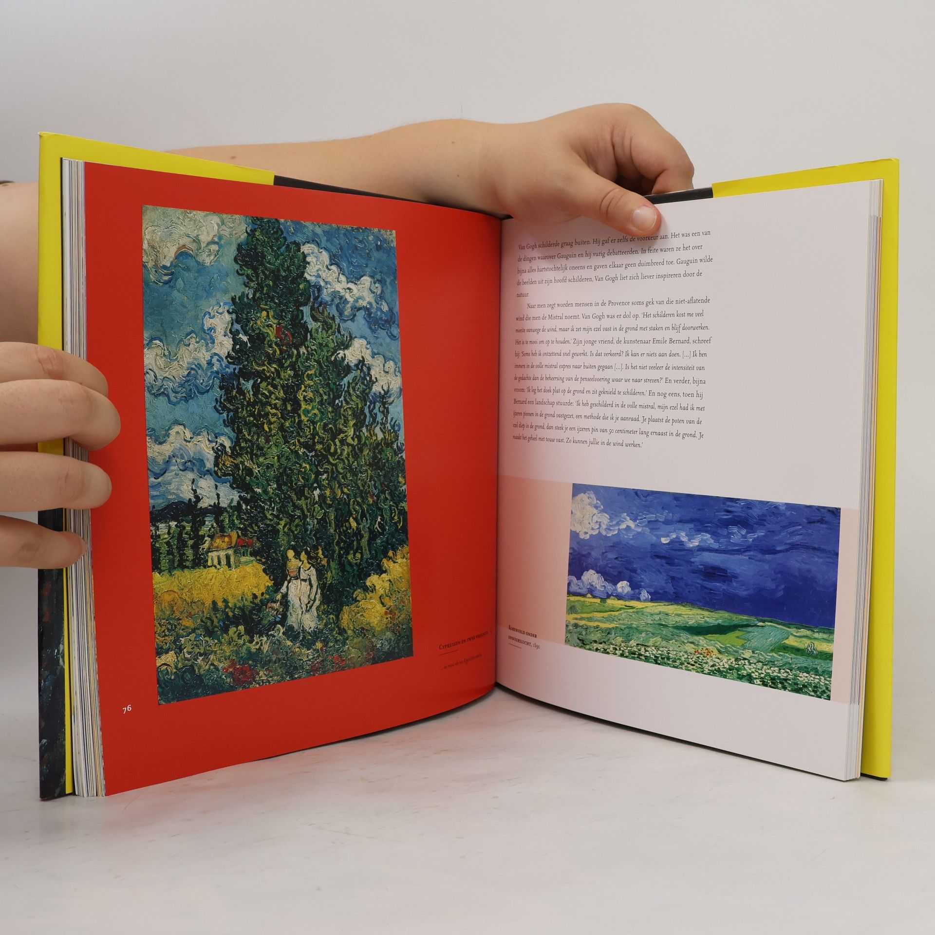 Shelley Rohde Het Van Gogh boek