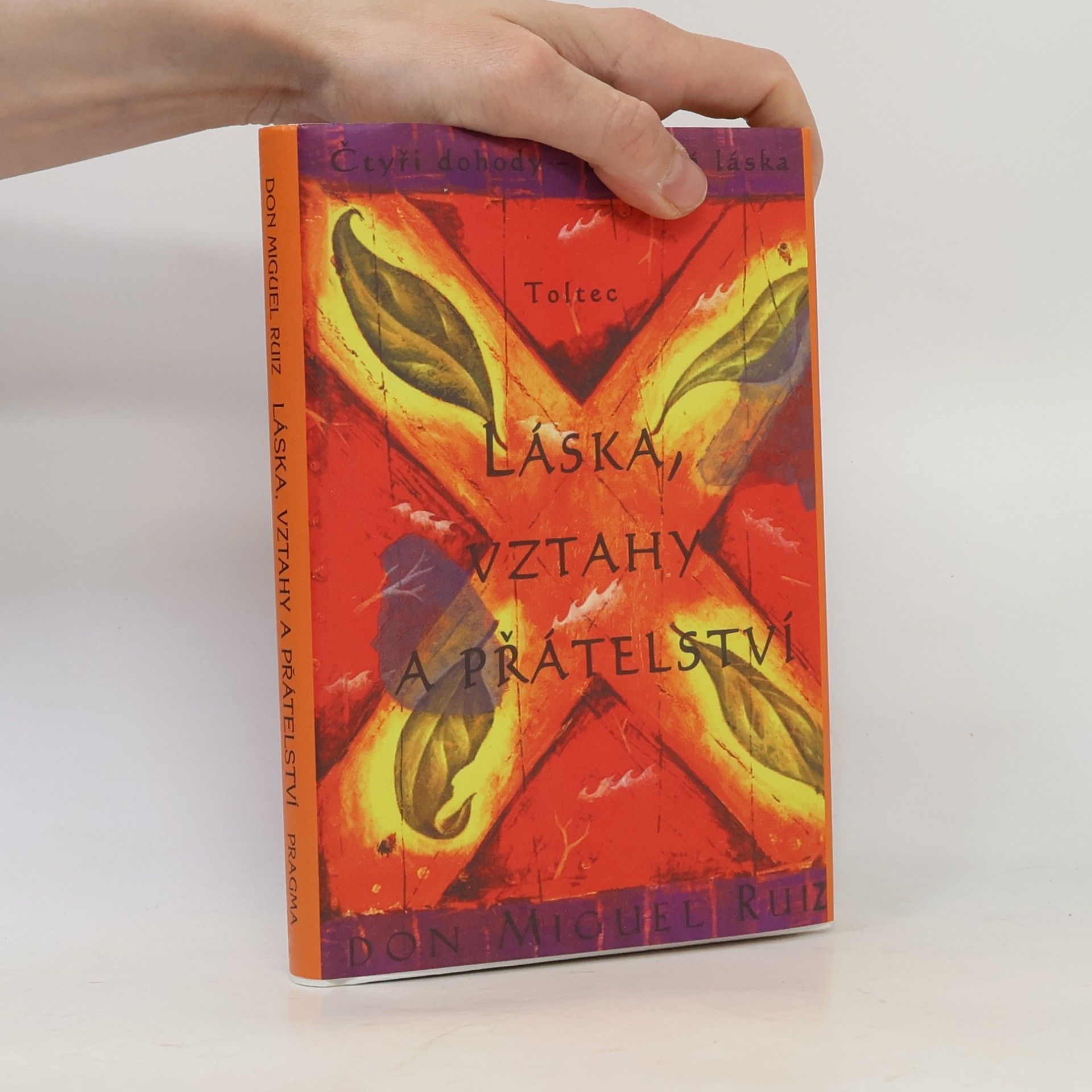 Don Miguel Ruiz Láska, vztahy a přátelství