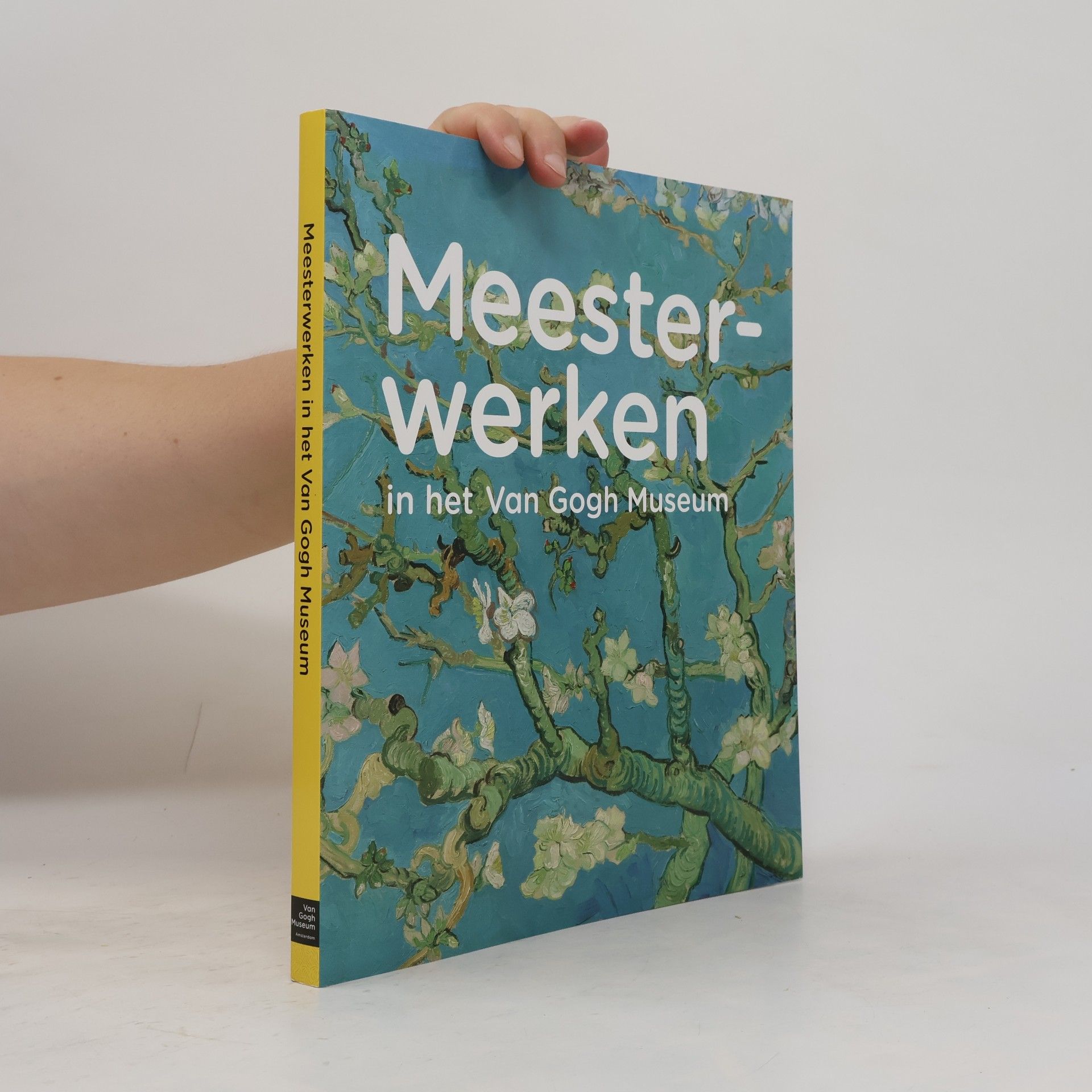 Meesterwerken in het Van Gogh Museum