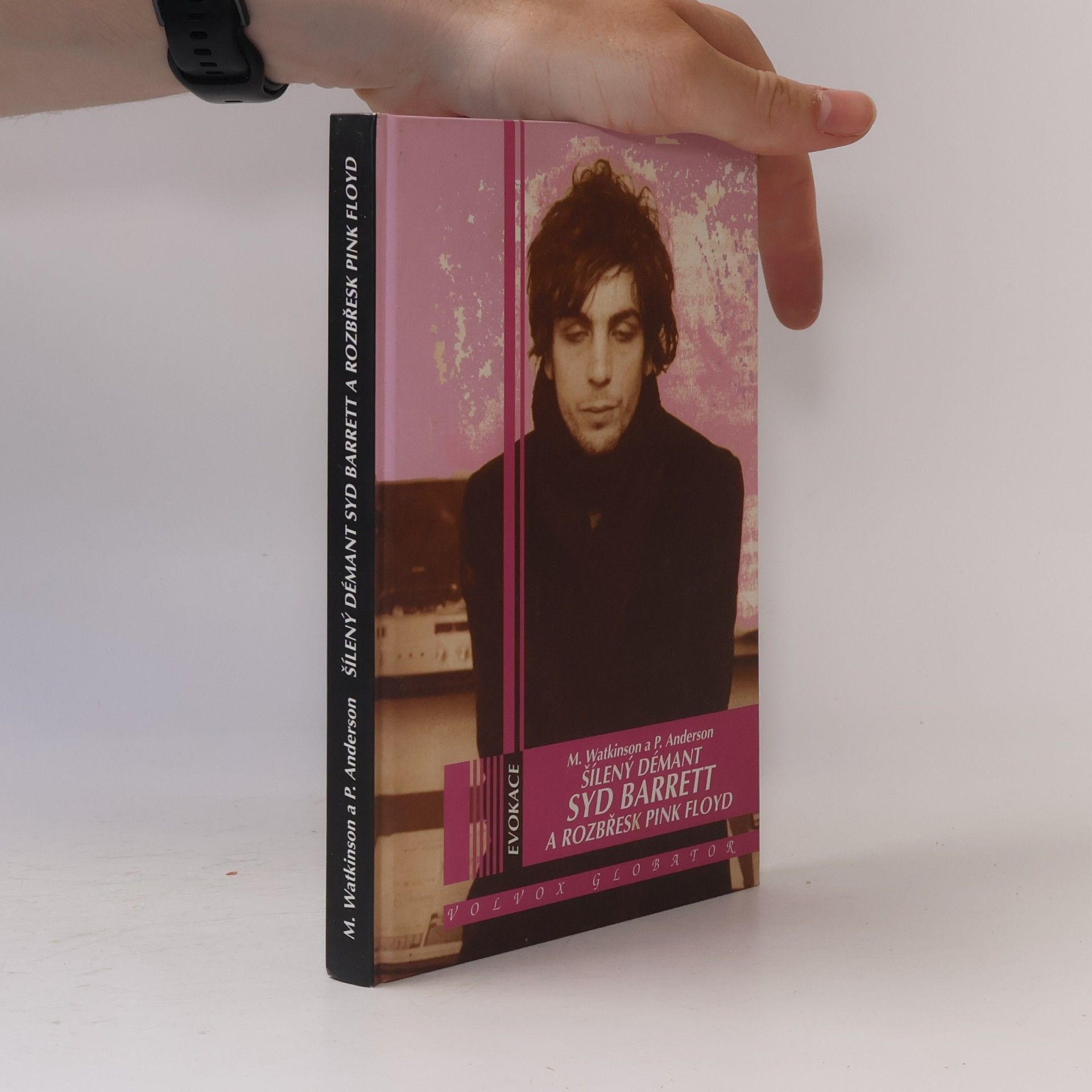 Mike Watkinson Šílený démant Syd Barrett a rozbřesk Pink Floyd