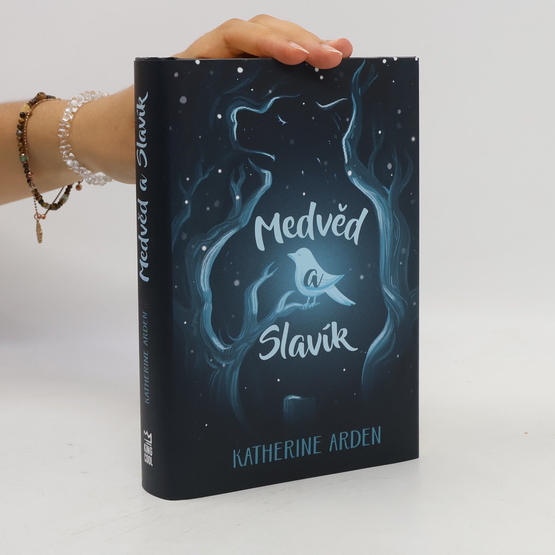 Katherine Arden Medvěd a Slavík