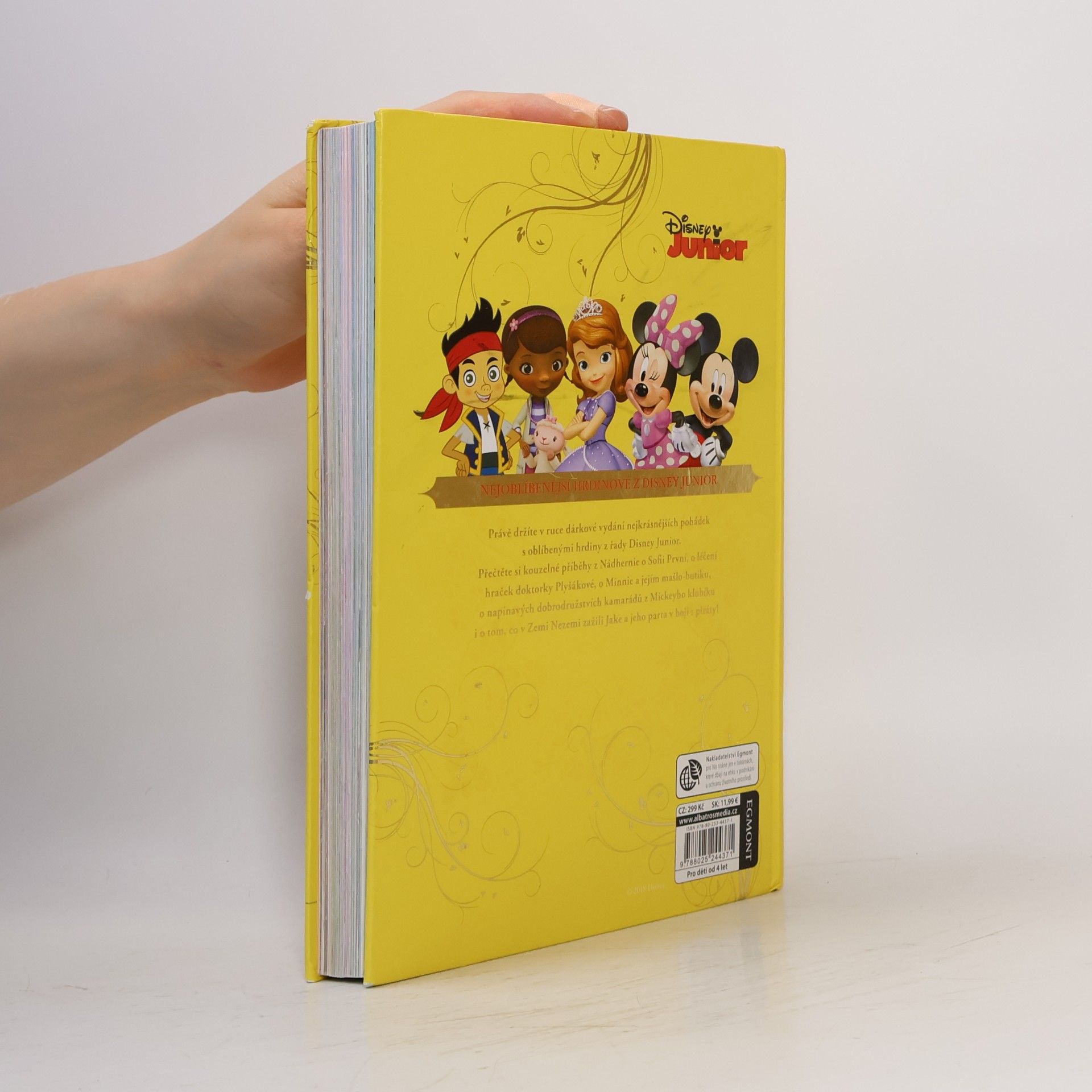 Autorenkollektiv Velká kniha pohádek - Disney junior