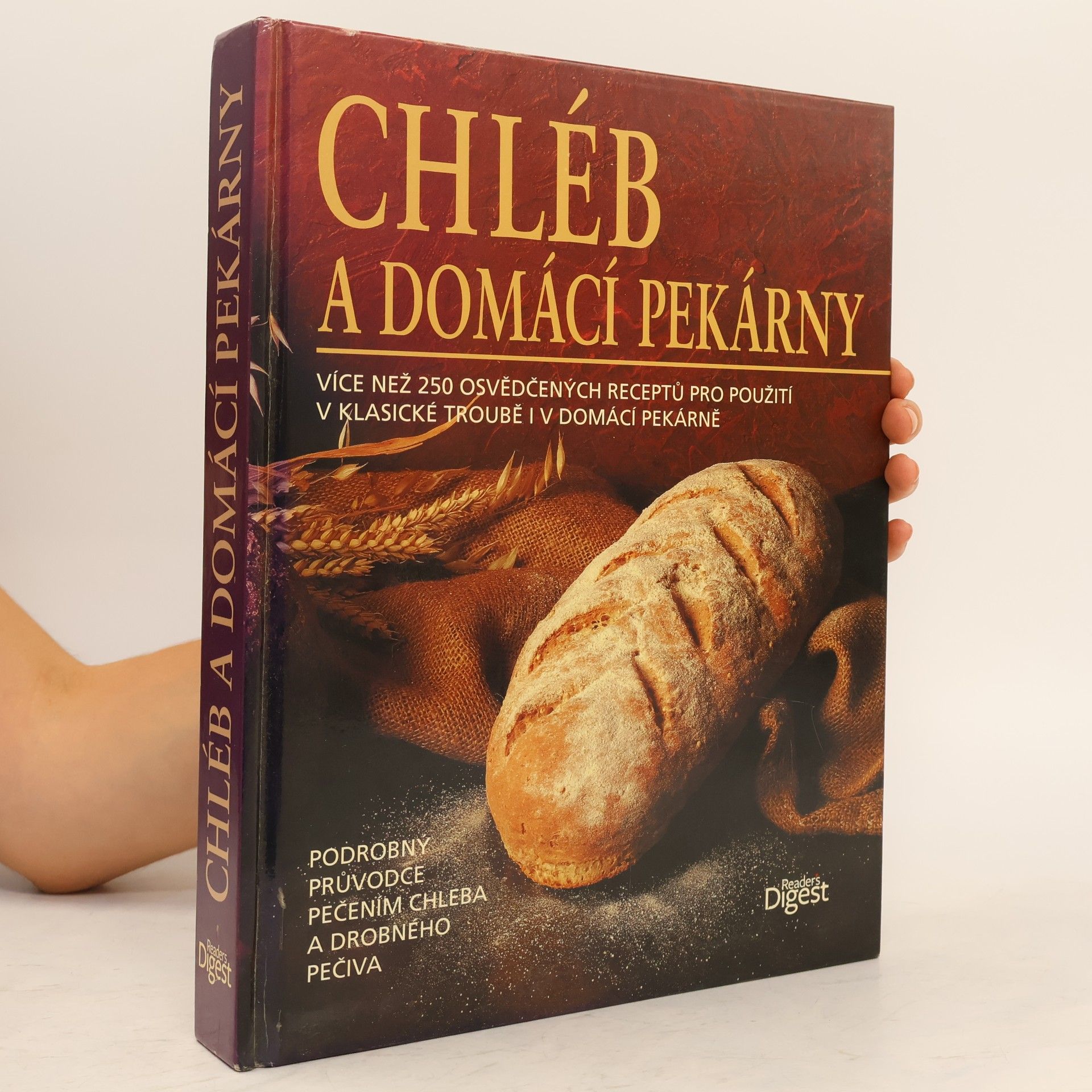Kolektív autorov Chléb a domácí pekárny