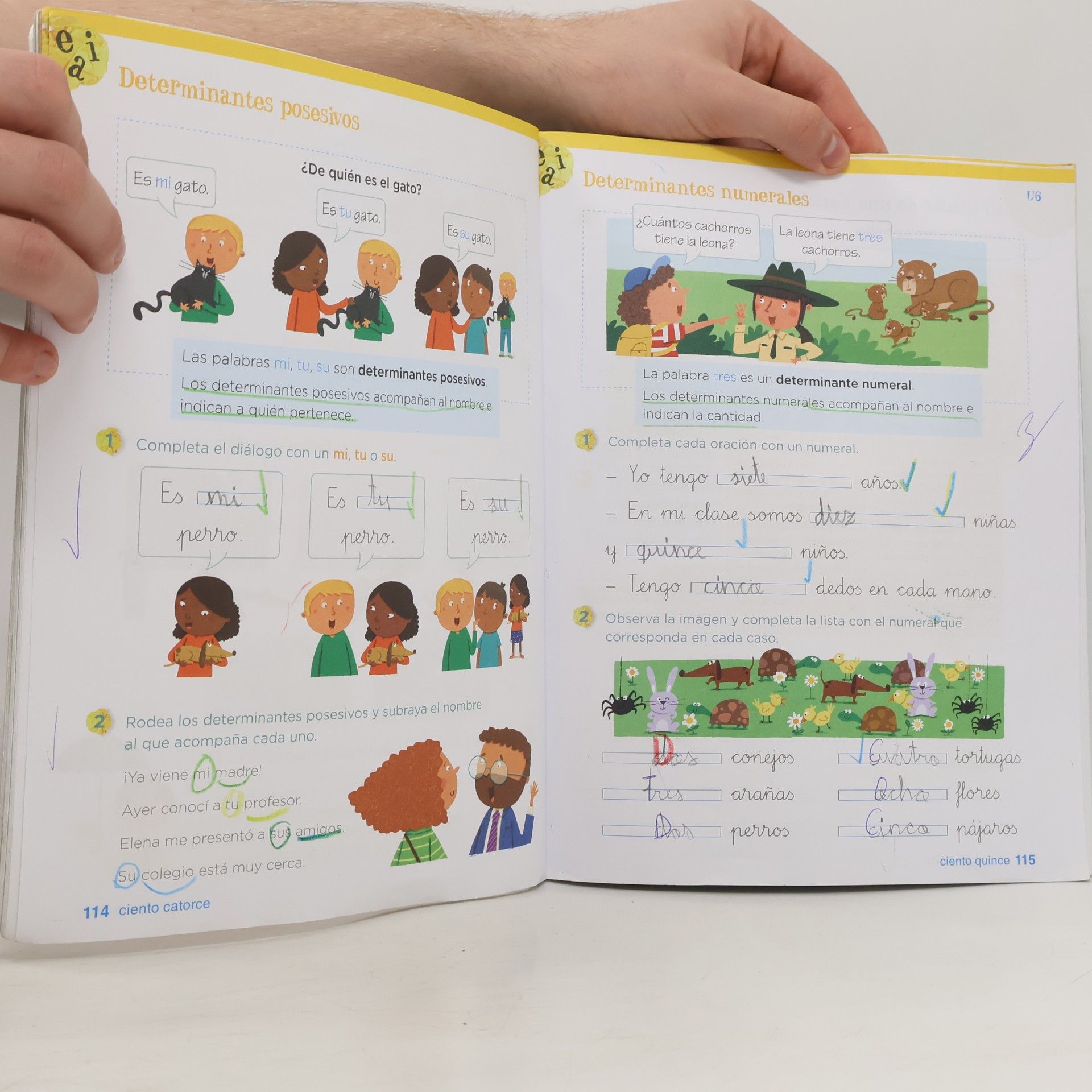 Kolektív autorov 2 Primaria. Lengua: Primer trimestre