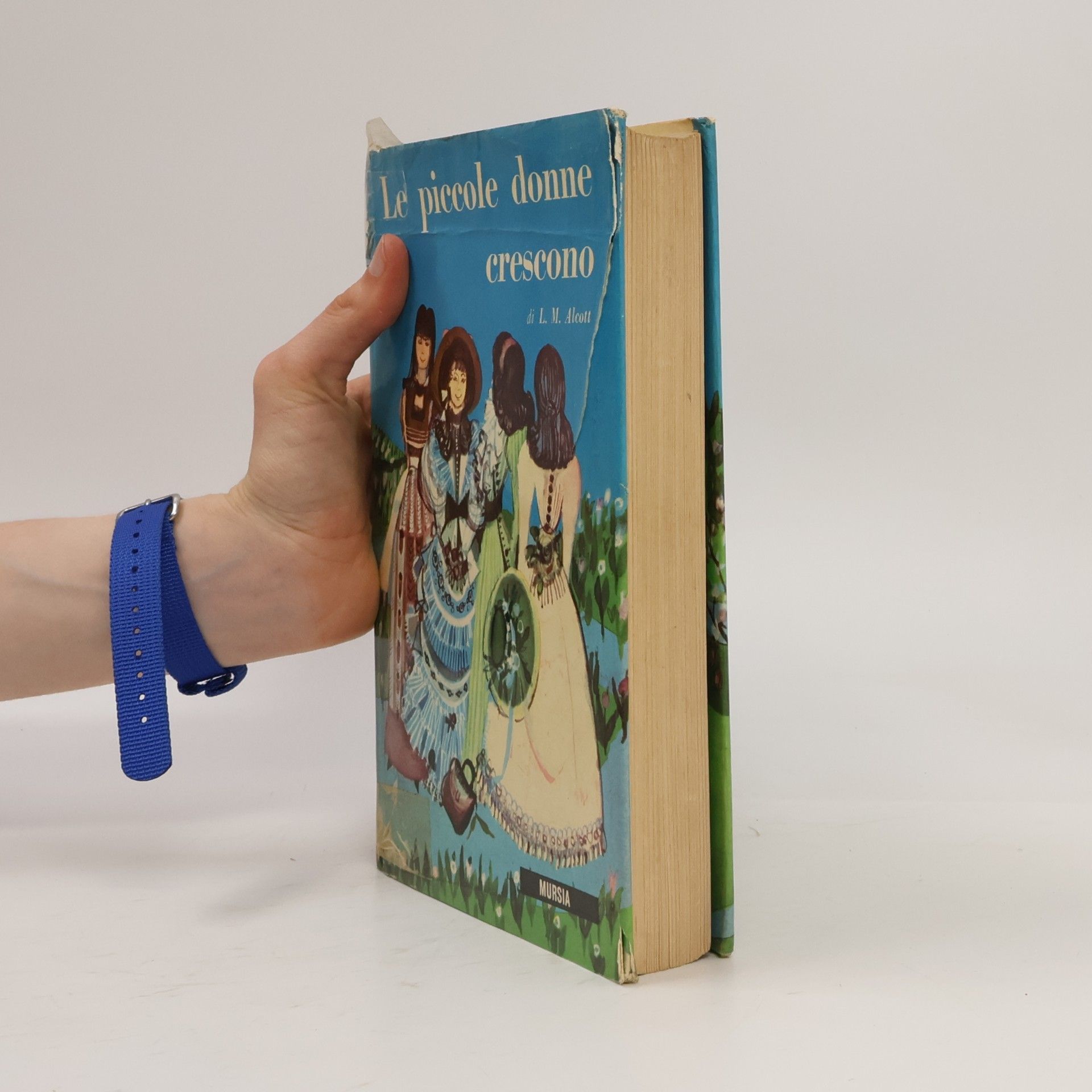Louisa May Alcott Le piccole donne crescono