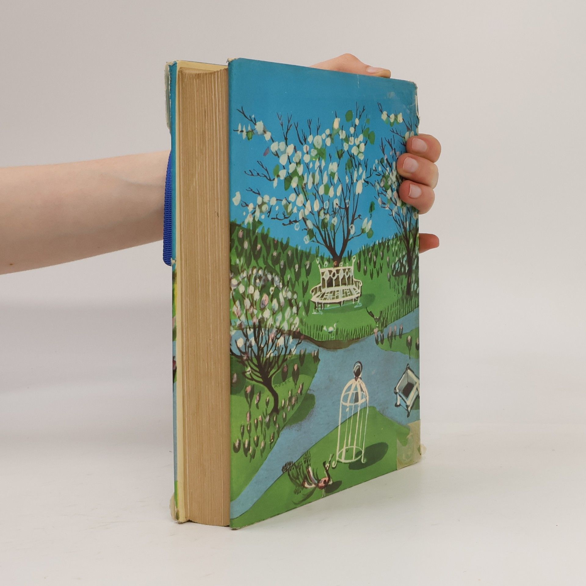 Louisa May Alcott Le piccole donne crescono