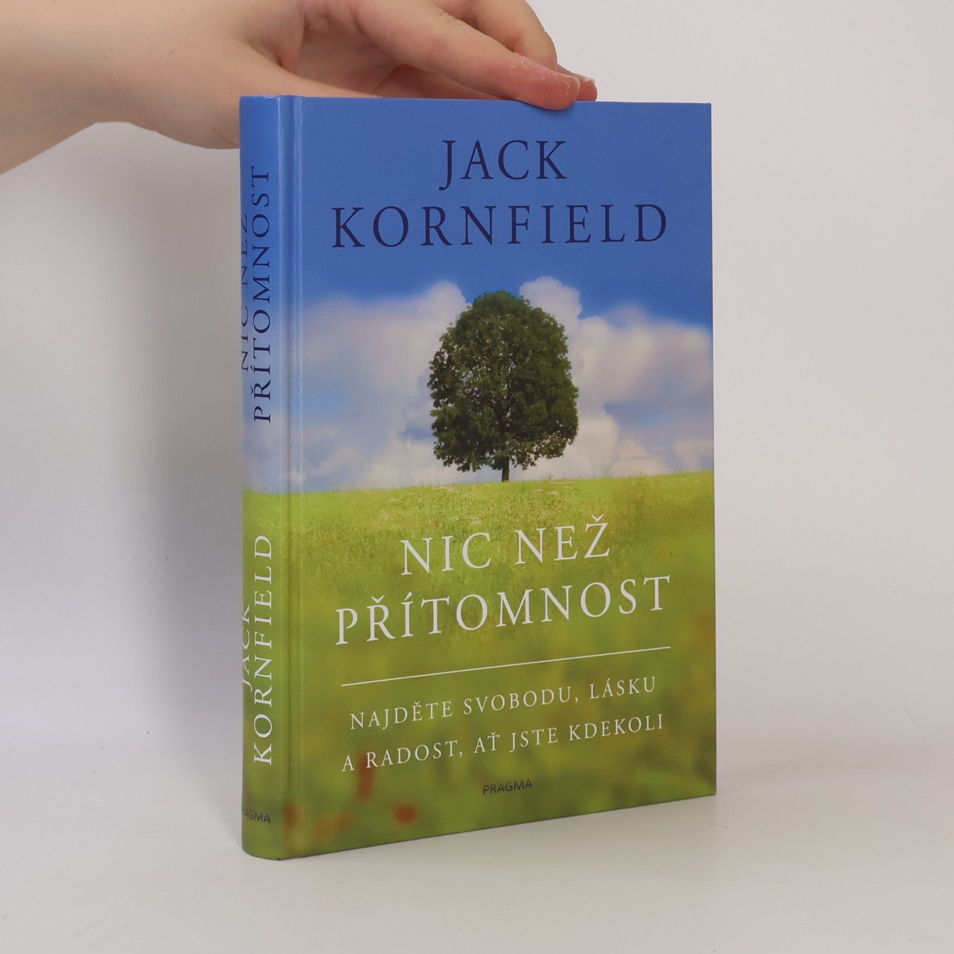 Jack Kornfield Nic než přítomnost