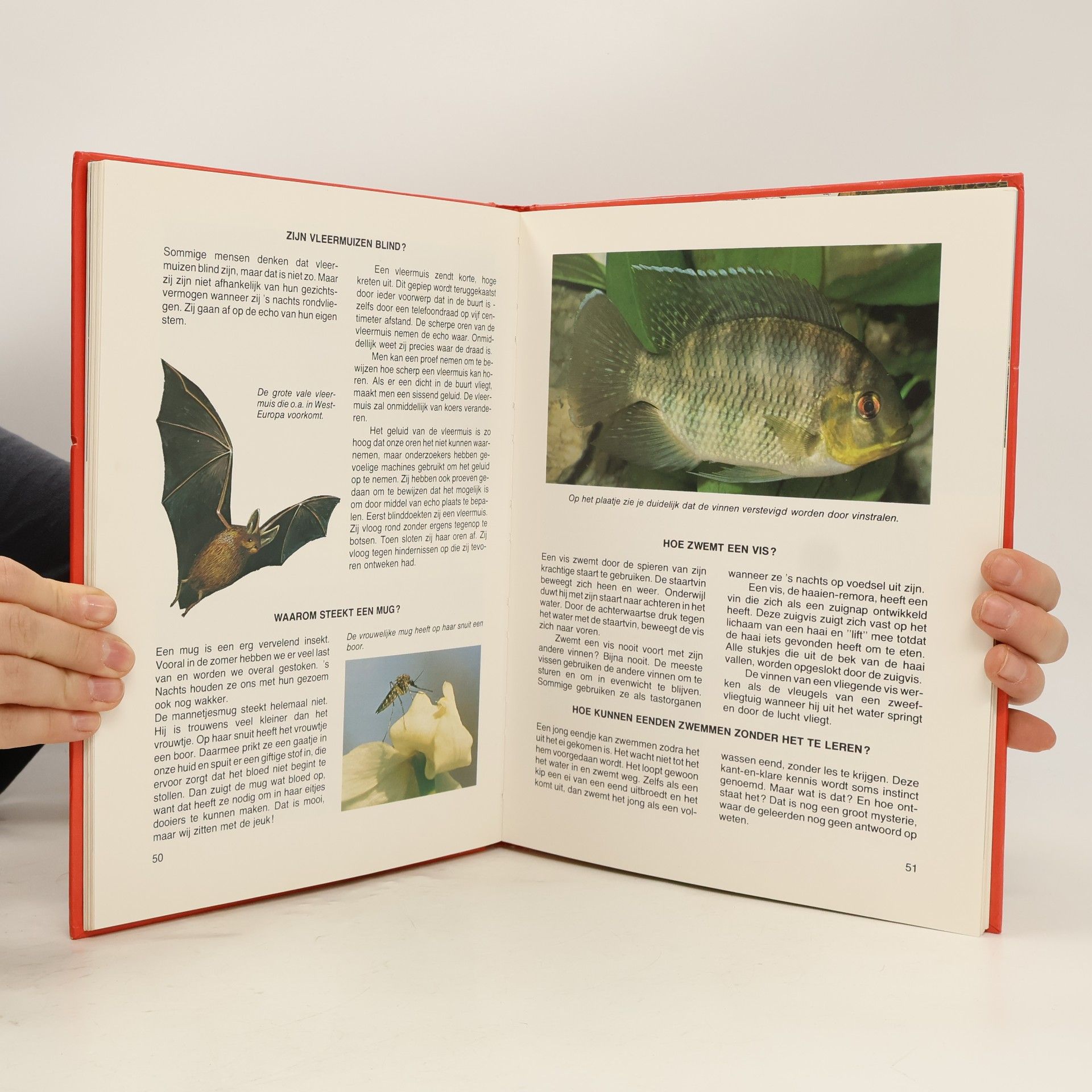 E. J. De Vocht Deltas grote antwoordenboek