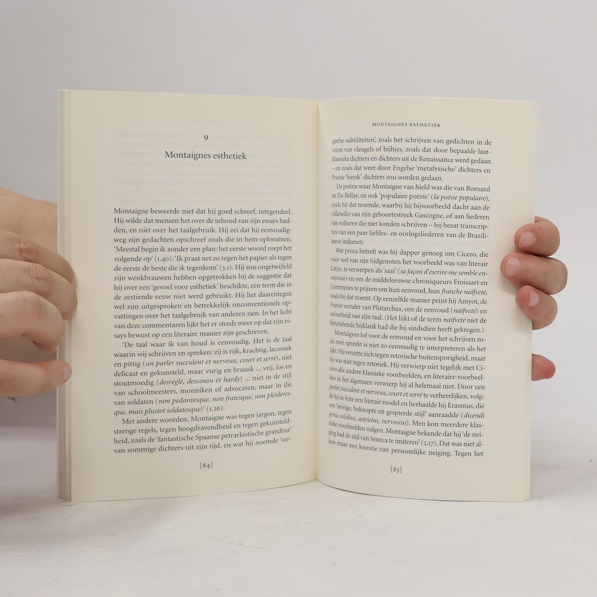 Peter Burke Kopstukken Filosofie: Montaigne - druk 2