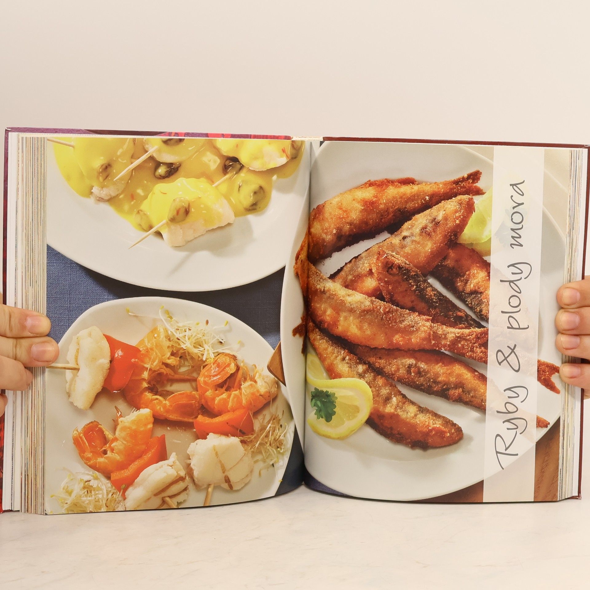Kolektiv autorů Tapas