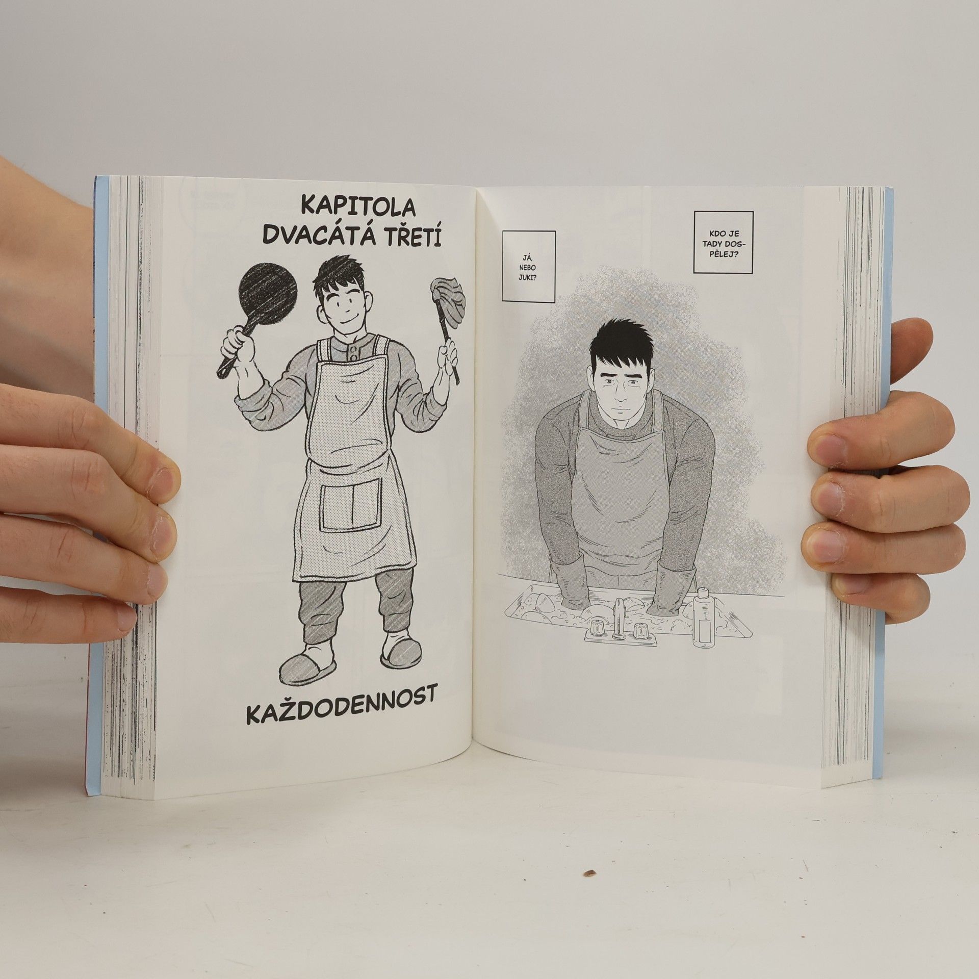 Gengoroh Tagame Manžel mého bratra 2