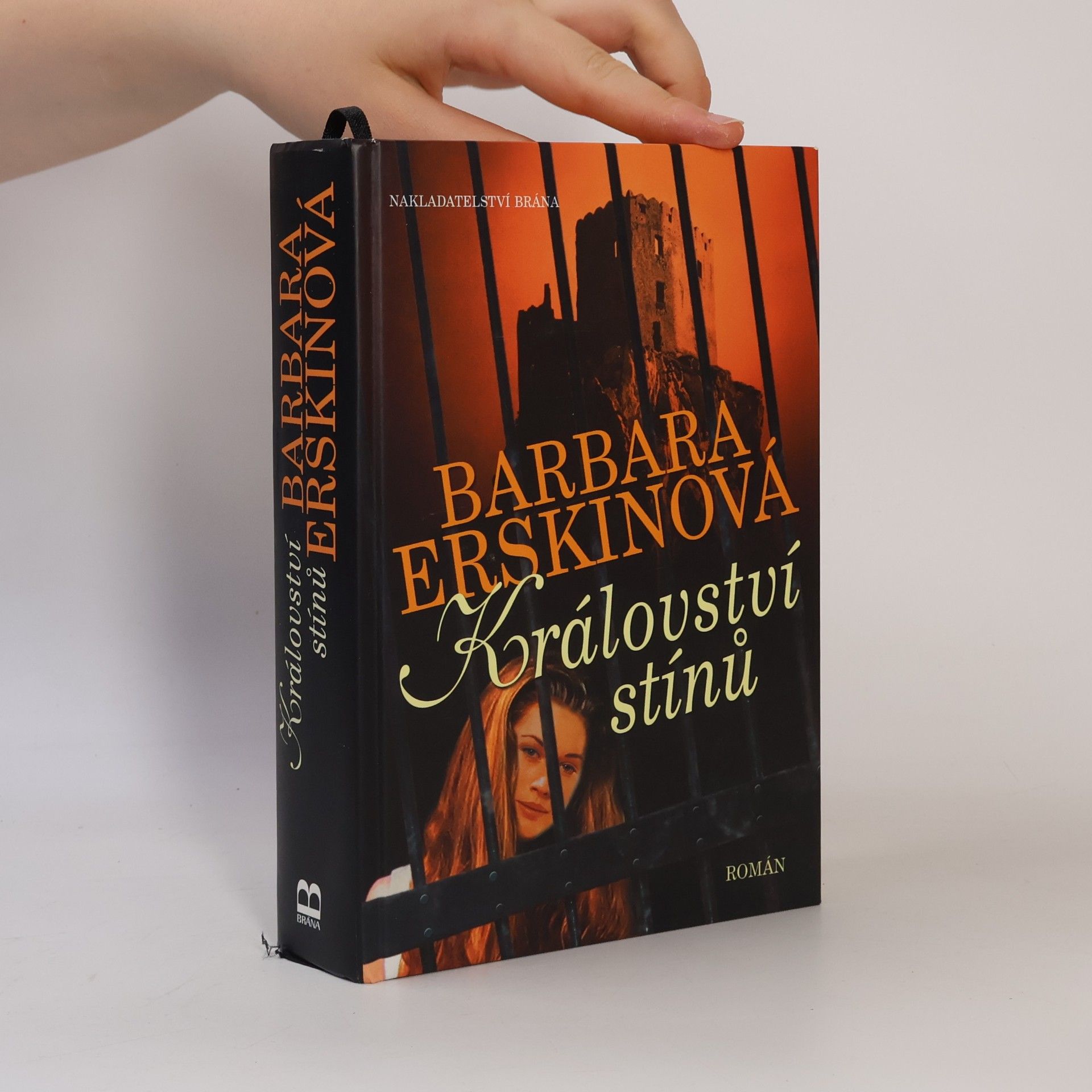 Barbara Erskine Království stínů : román