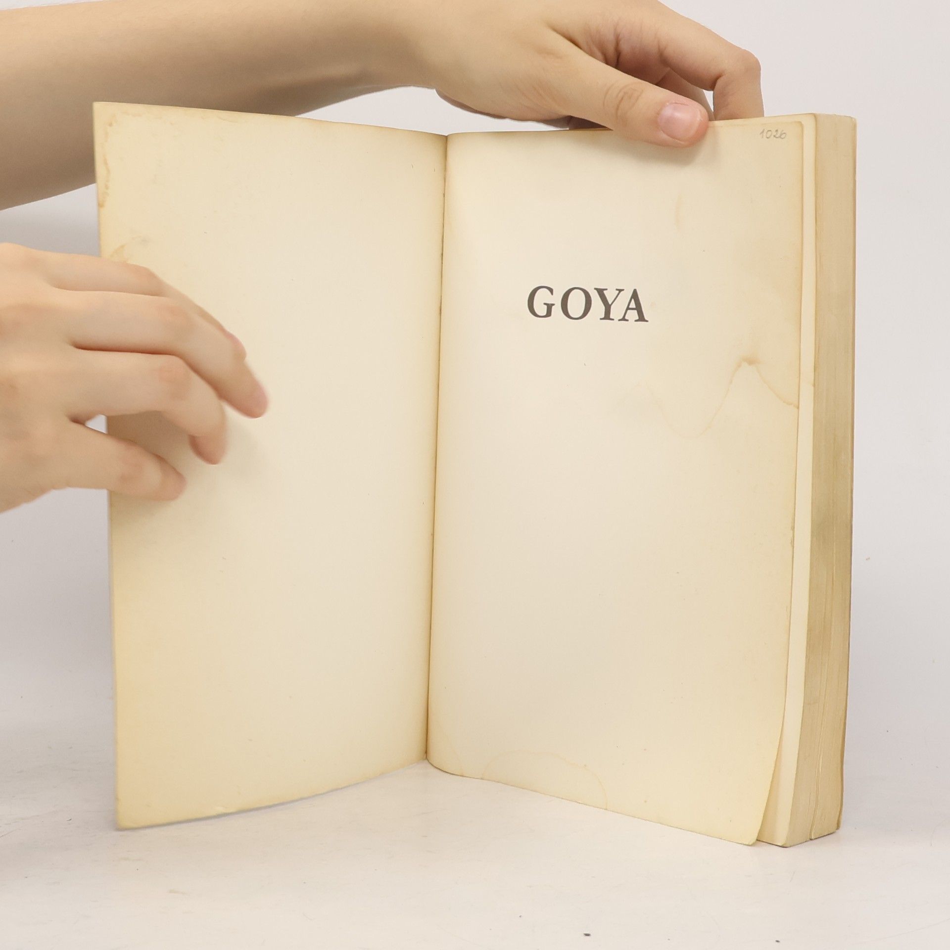 Jean-Francois Chabrun Goya