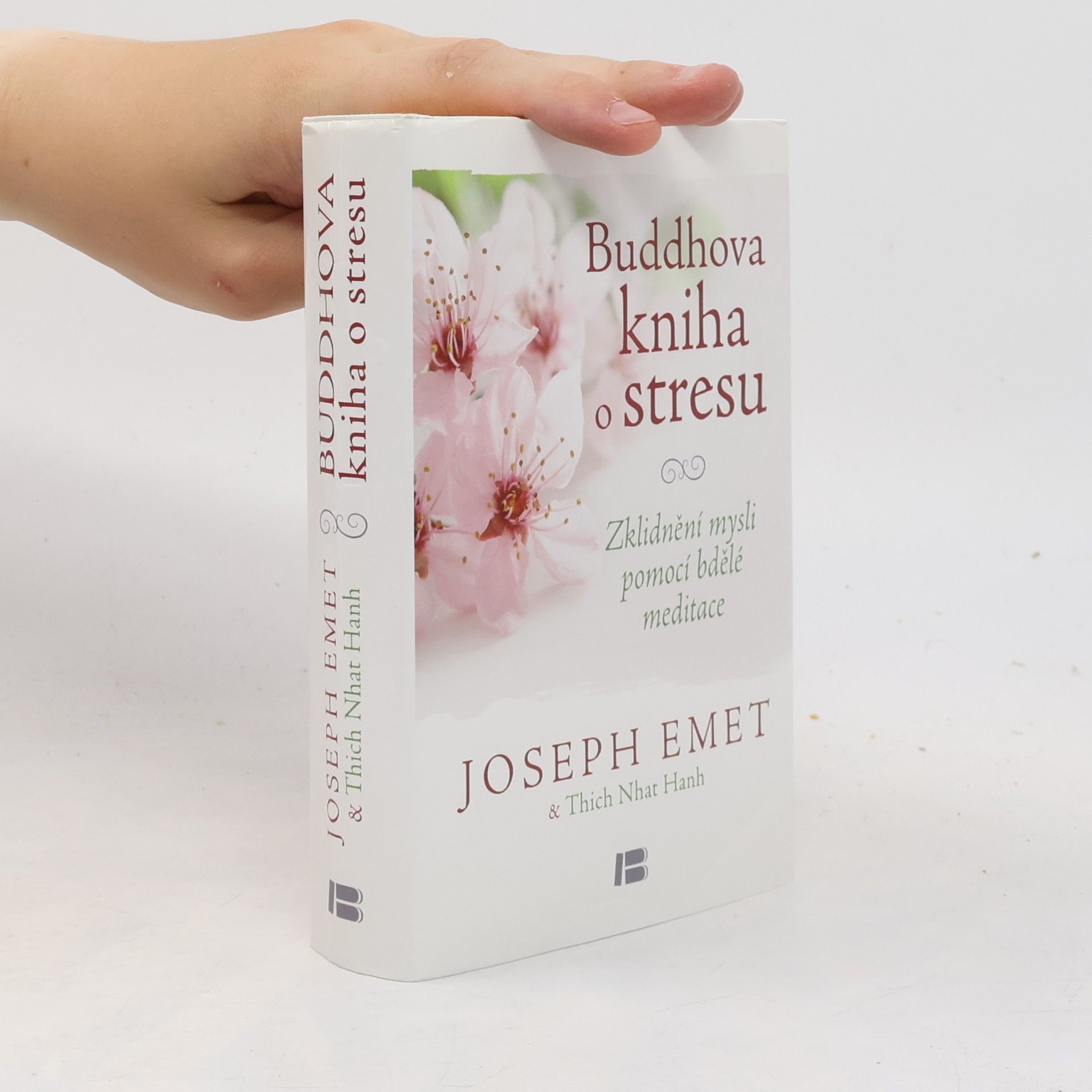 Thích Nhất Hạnh Buddhova kniha o stresu: Zklidnění mysli pomocí bdělé meditace
