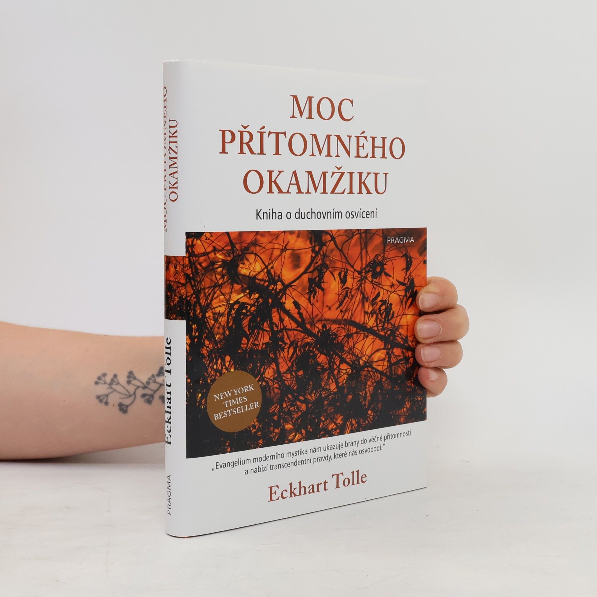 Eckhart Tolle Moc přítomného okamžiku