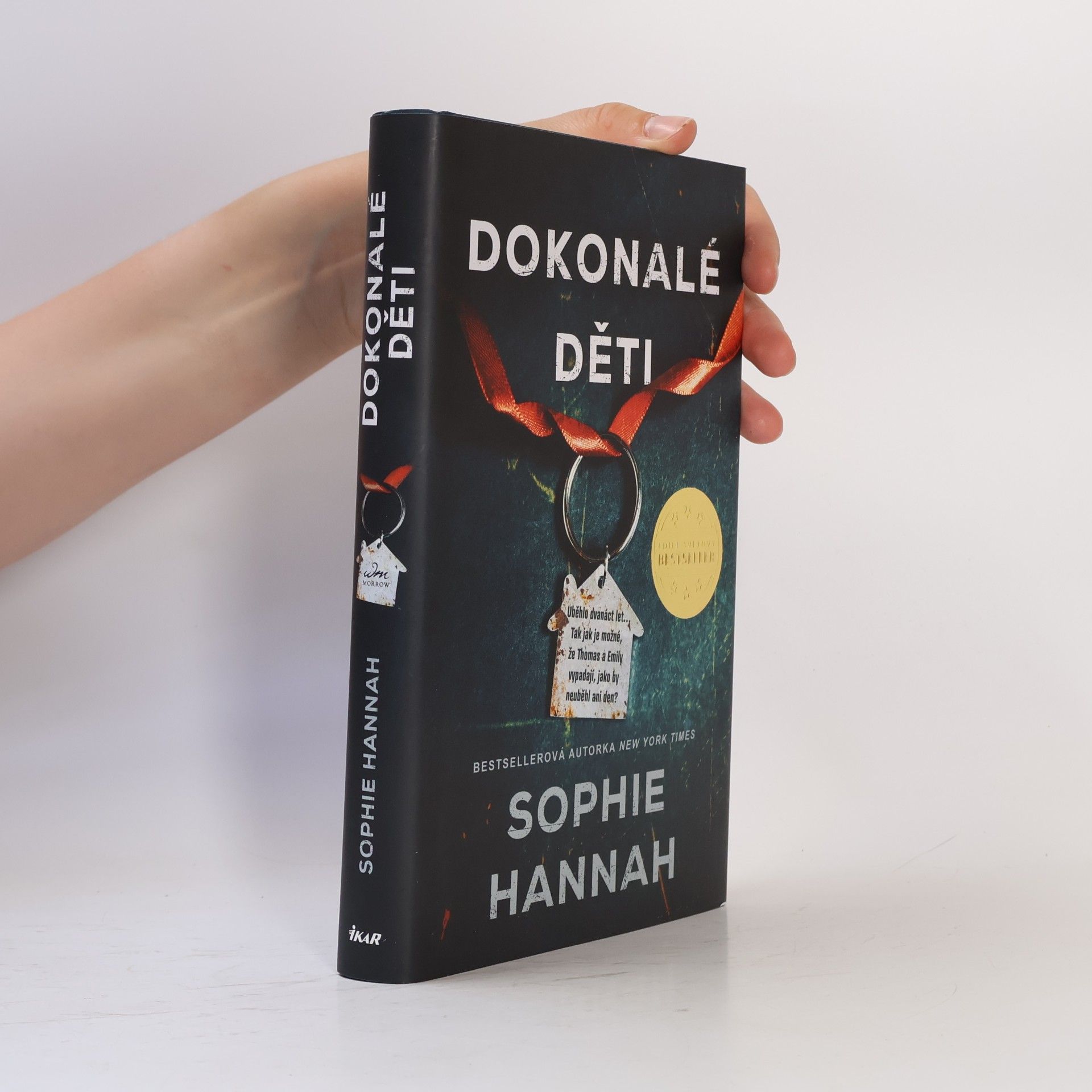 Sophie Hannah Dokonalé děti
