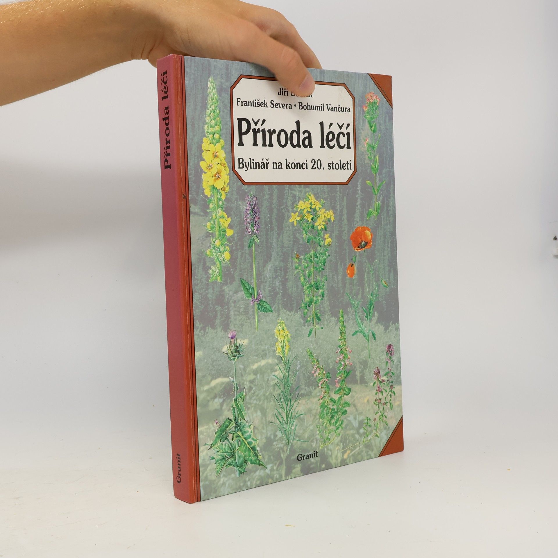 Příroda léčí : bylinář na konci 20. století