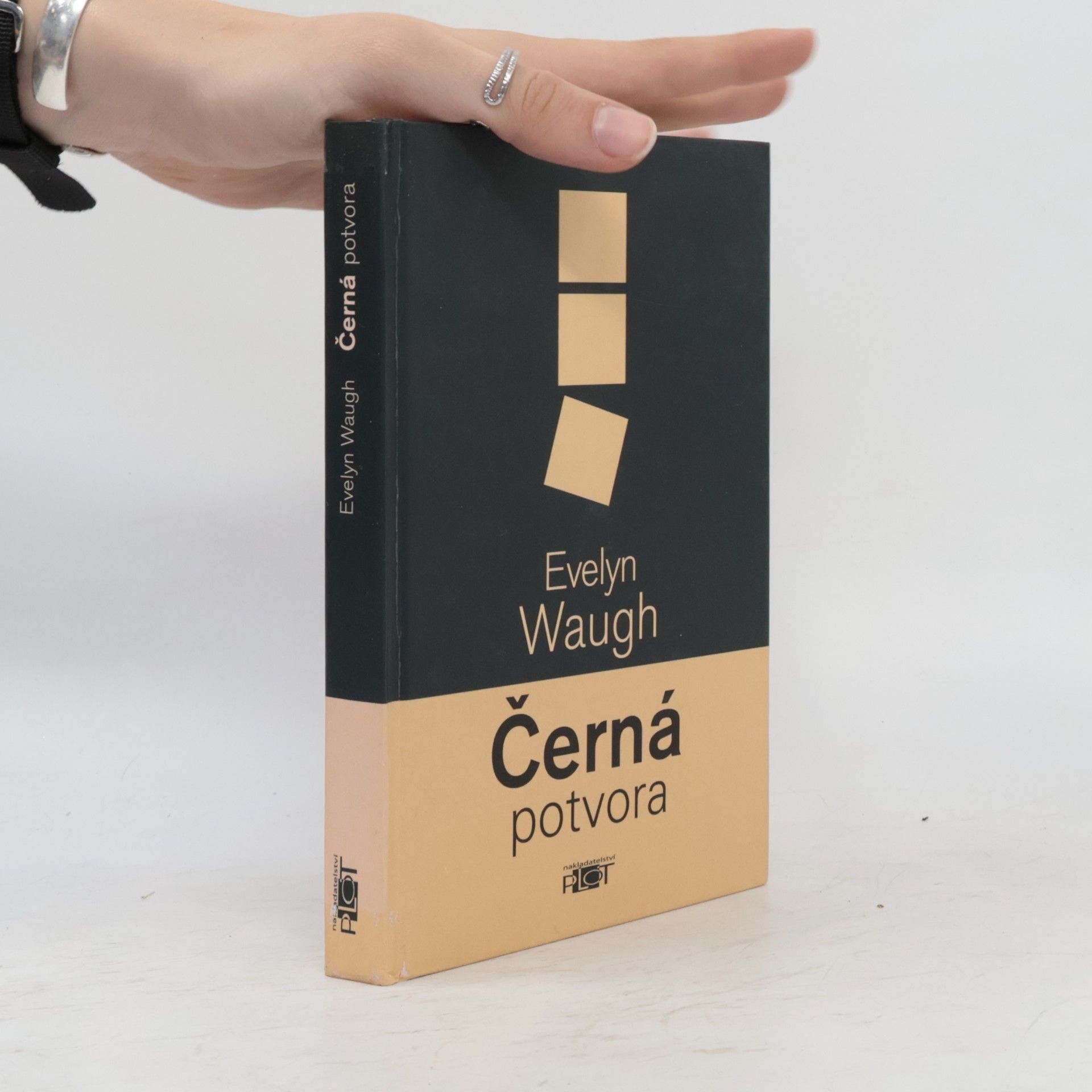 Černá potvora