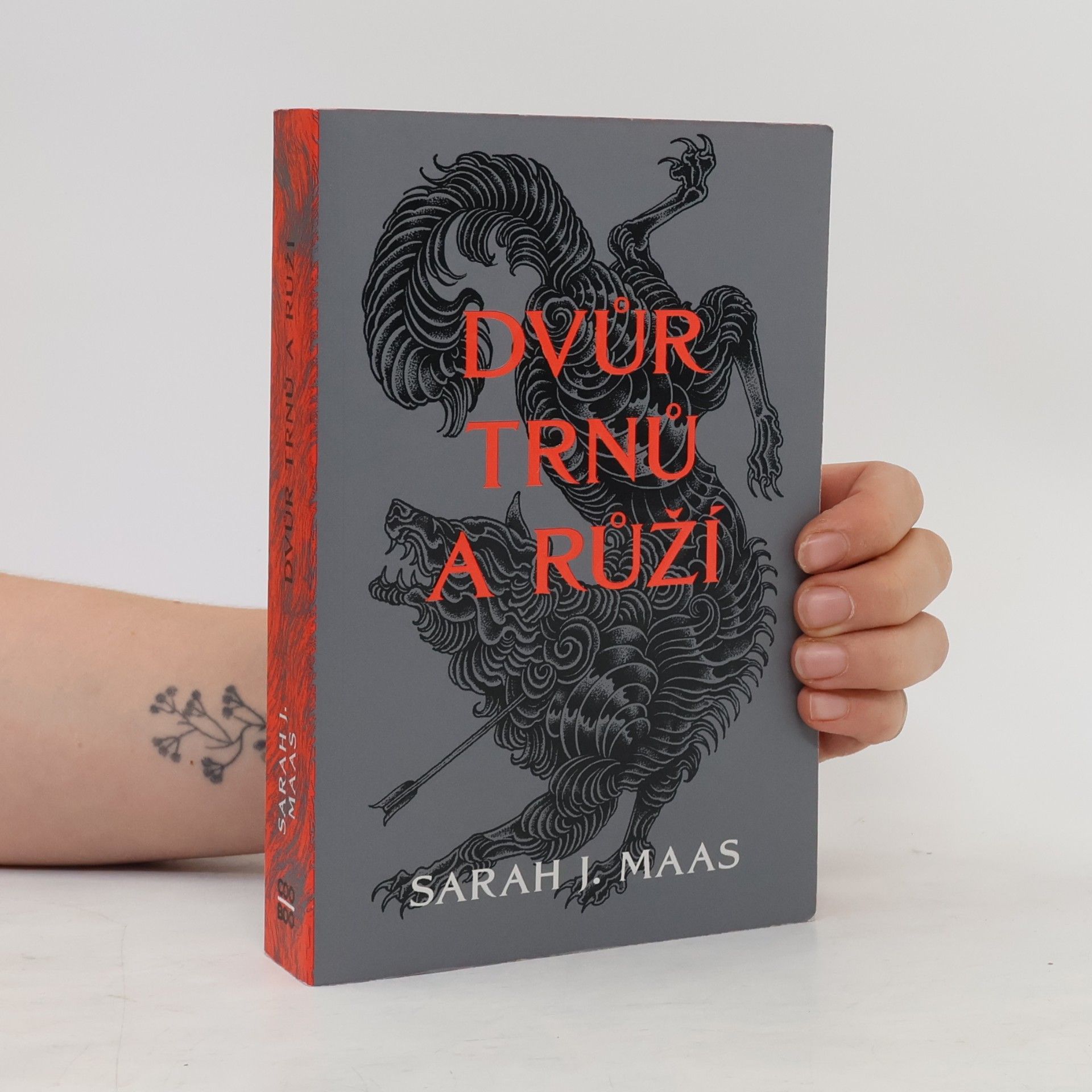 Sarah J. Maas Dvůr trnů a růží