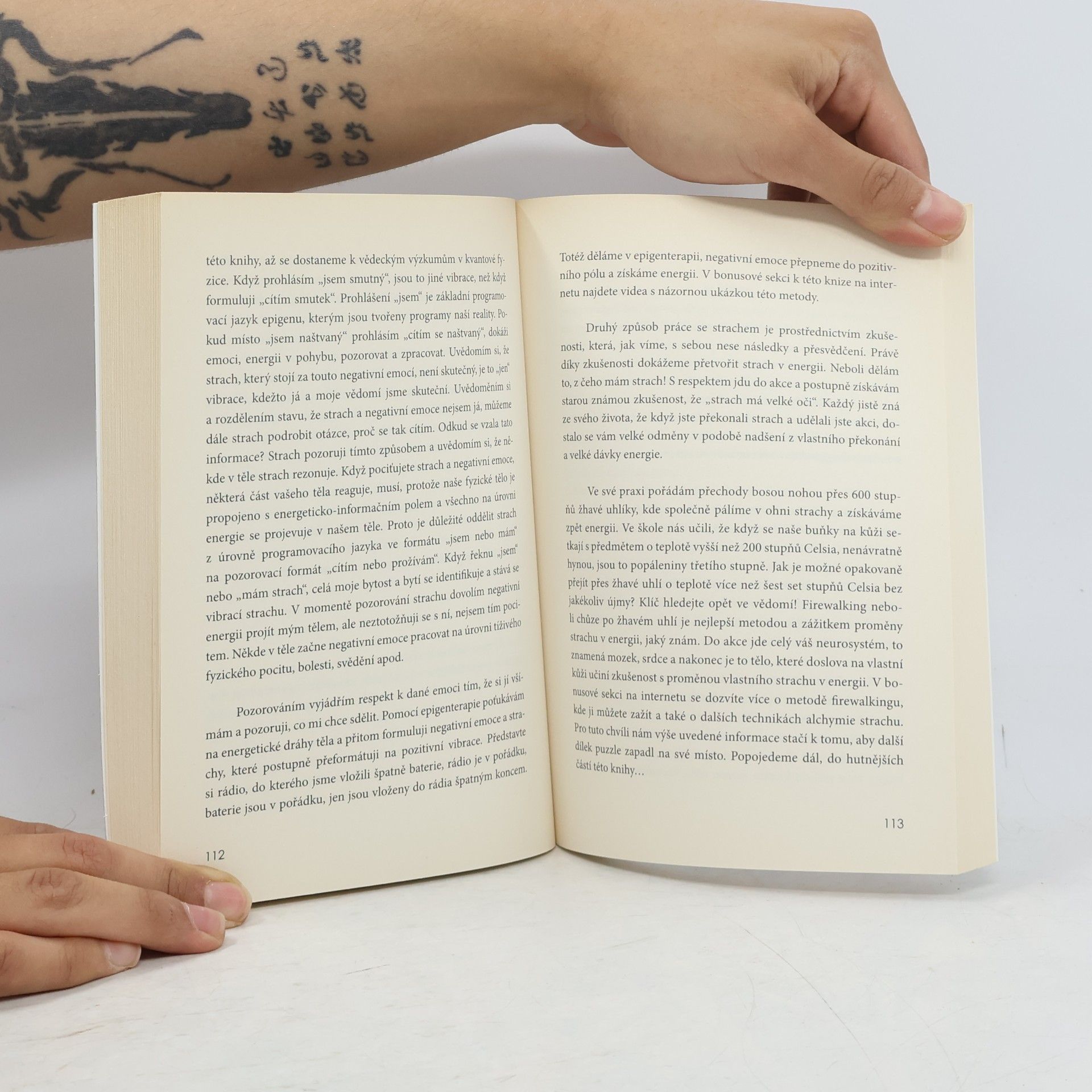 Jiří Vokáč Čmolík Vzpoura vědomí aneb Teslovo evangelium