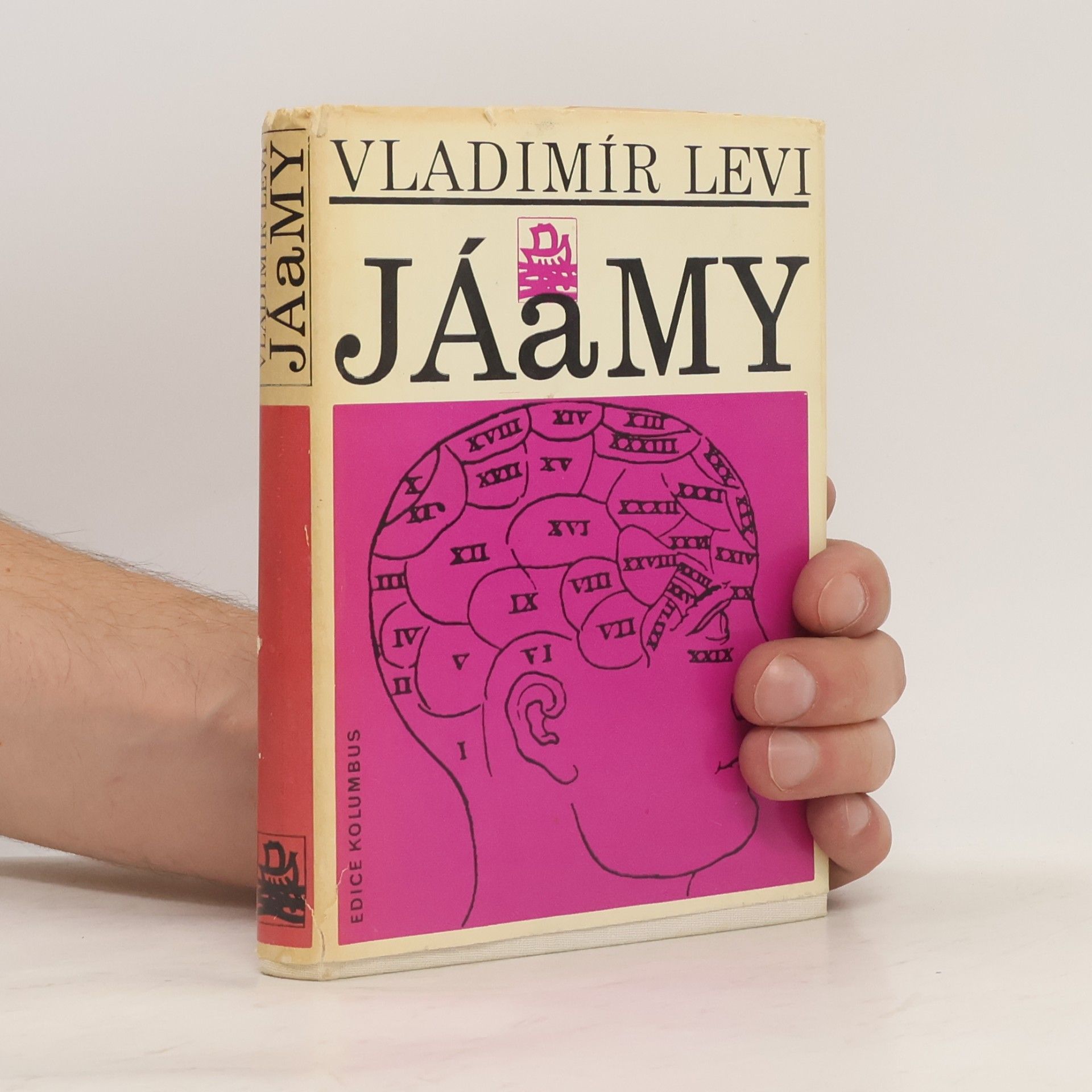 Vladimír Levi Já a my