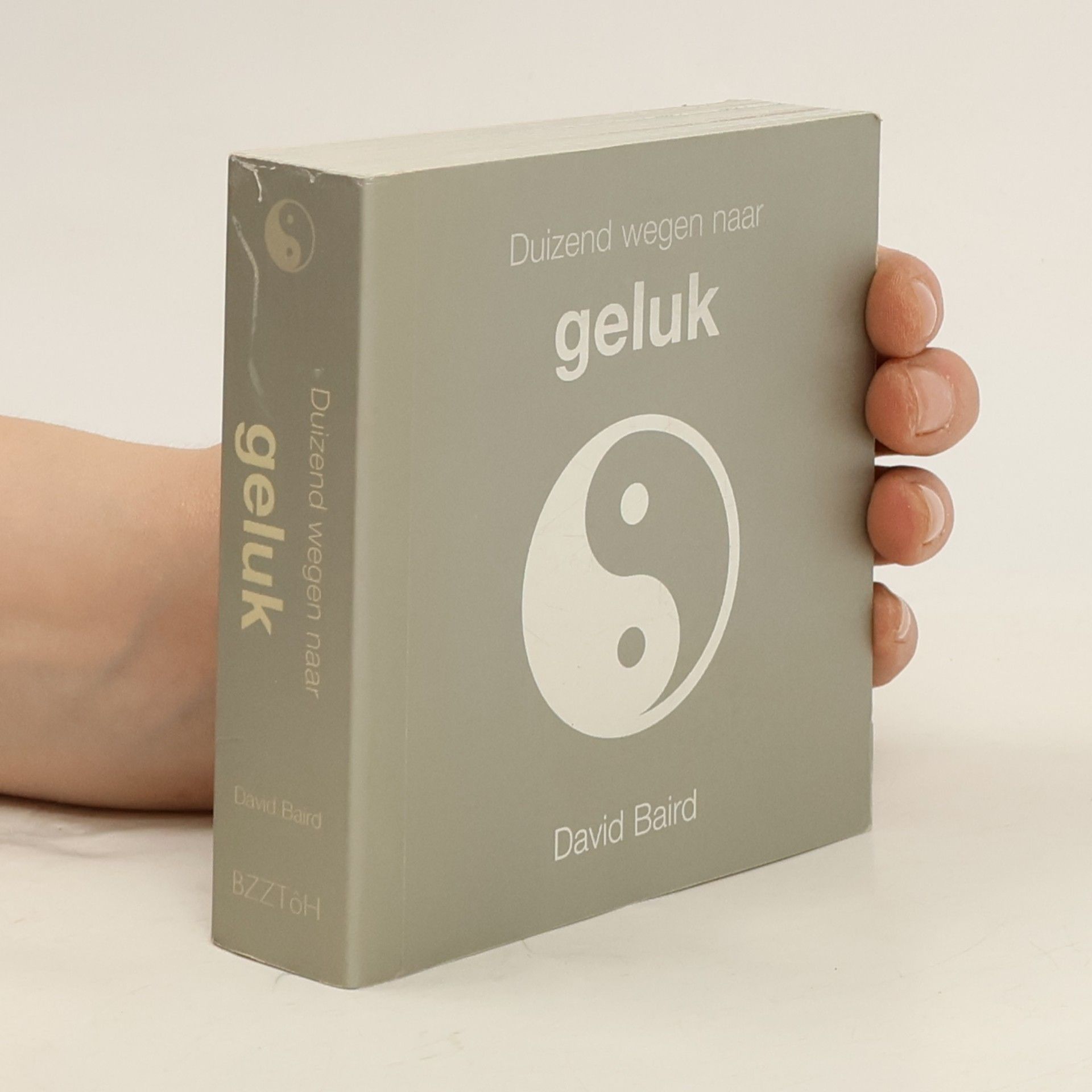 David Baird Duizend wegen naar geluk - druk 8
