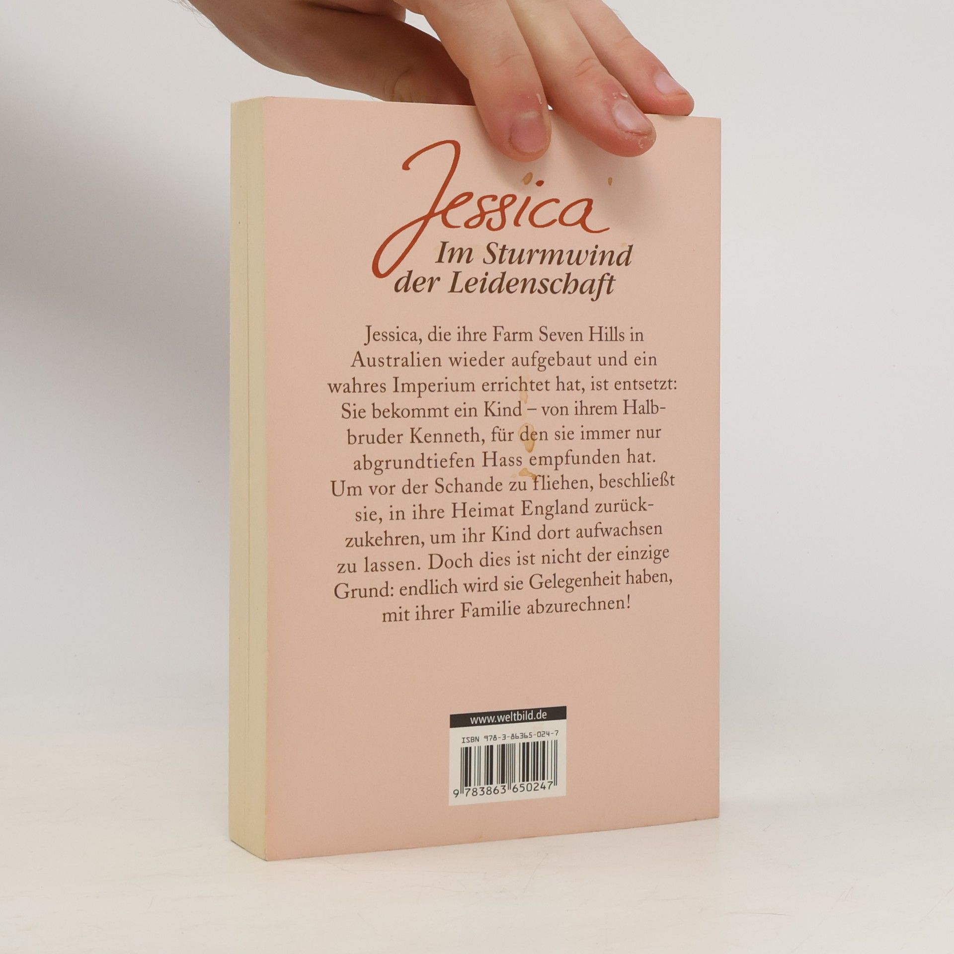Rainer M. Schröder Jessica - im Sturmwind der Leidenschaft
