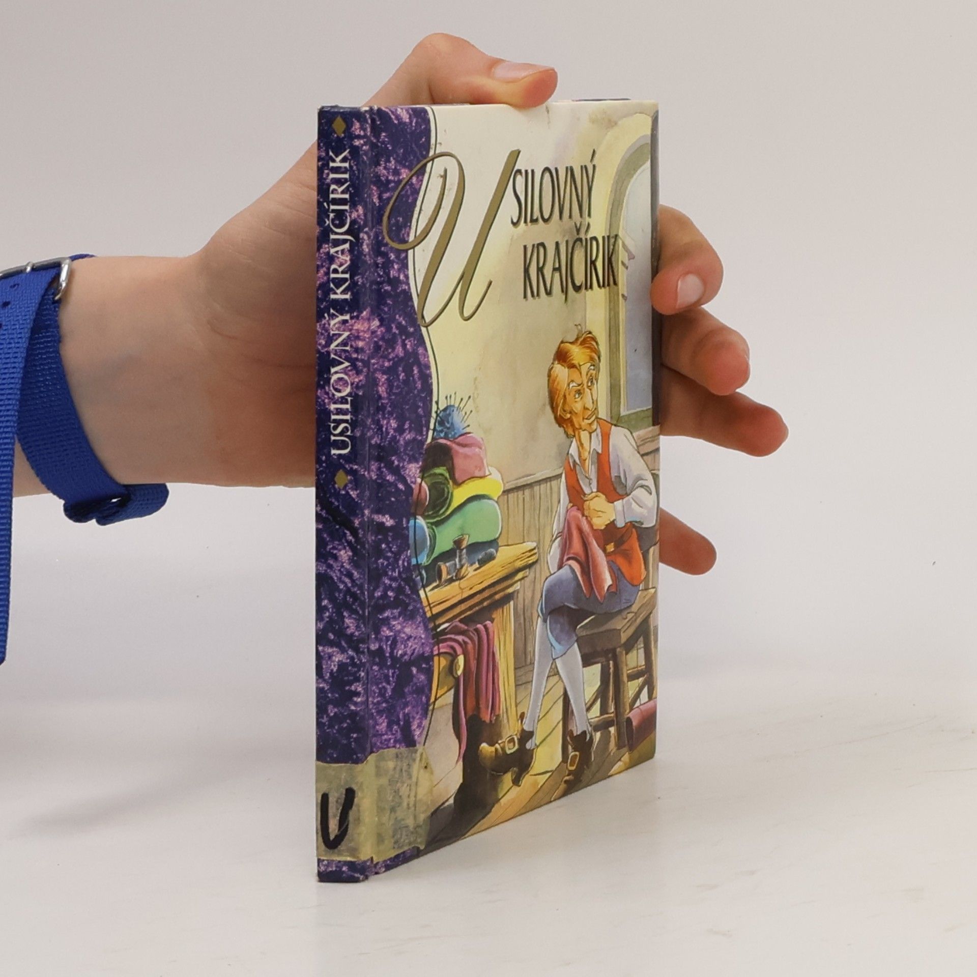 Collectif d'auteurs Usilovný krajčírik