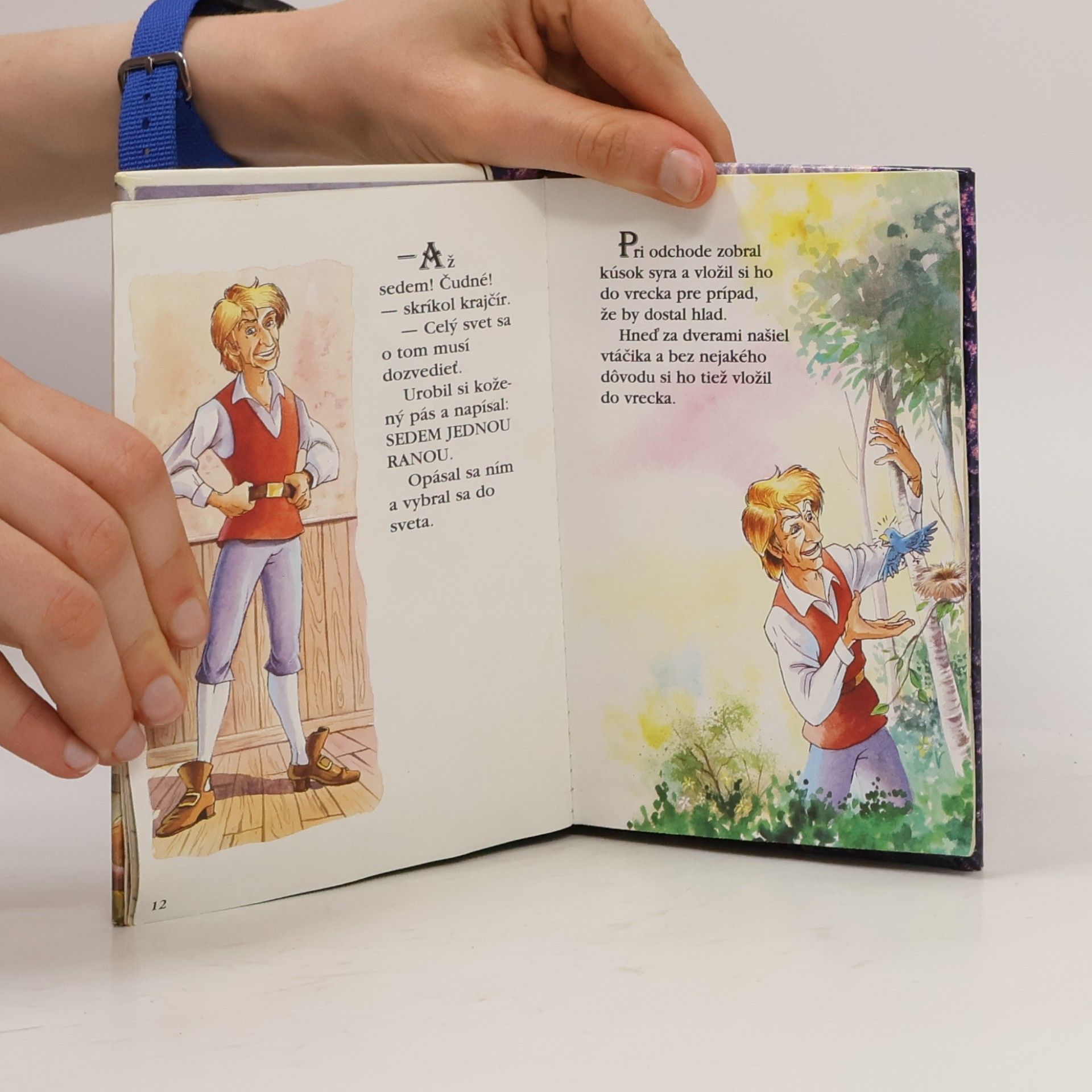 Autorenkollektiv Usilovný krajčírik