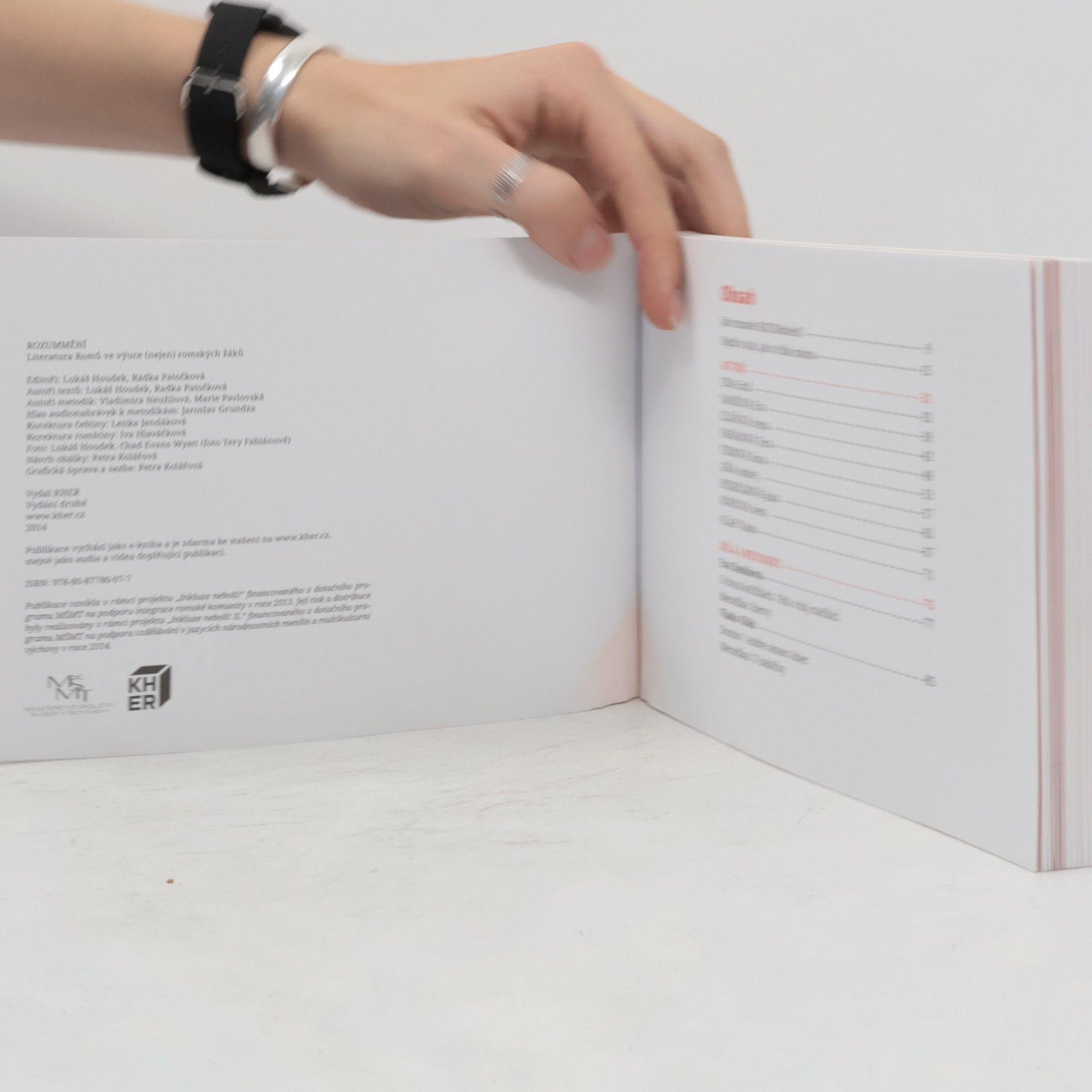 Collectif d'auteurs Rozummění