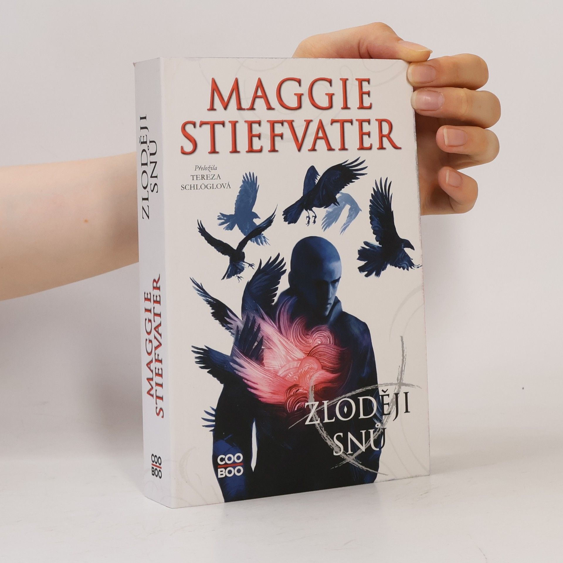 Maggie Stiefvater Zloději snů