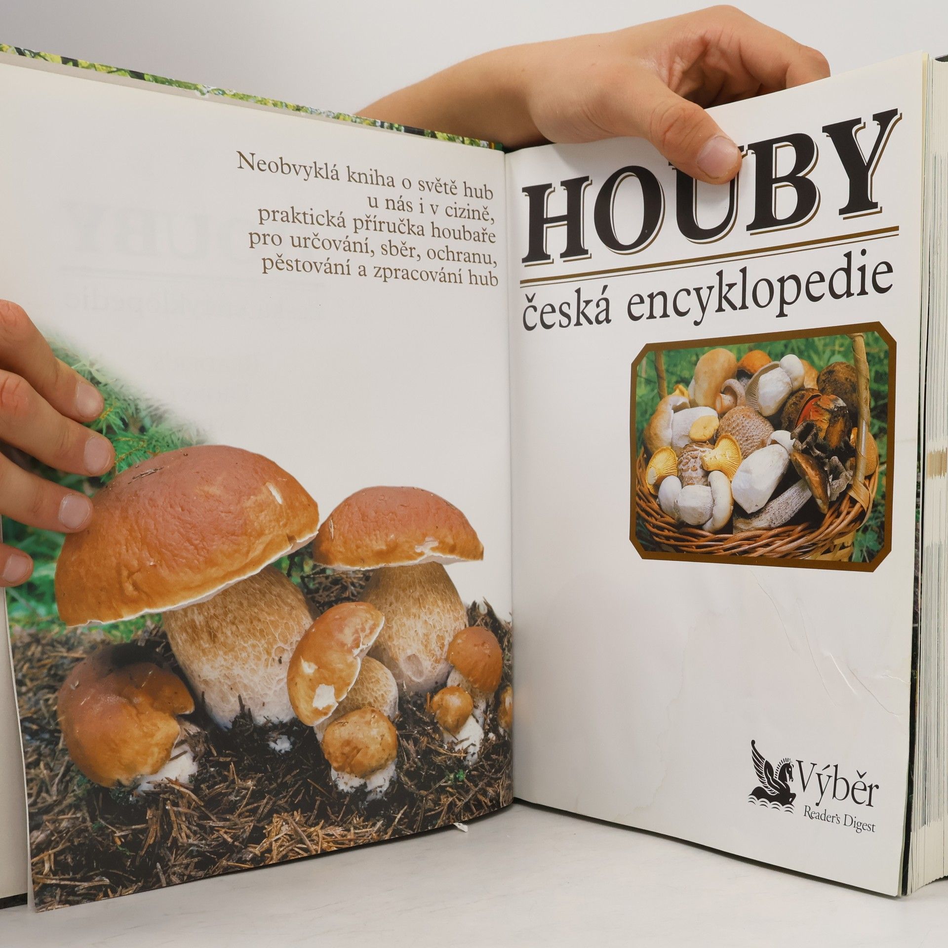 Vladimír Antonín Houby. Česká encyklopedie