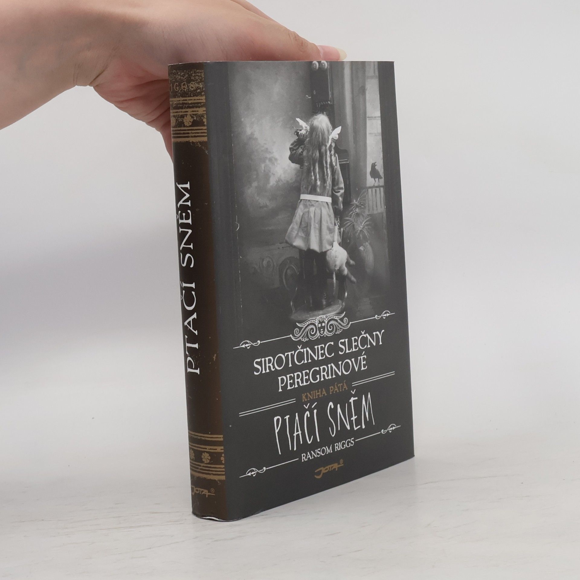 Ransom Riggs Ptačí sněm