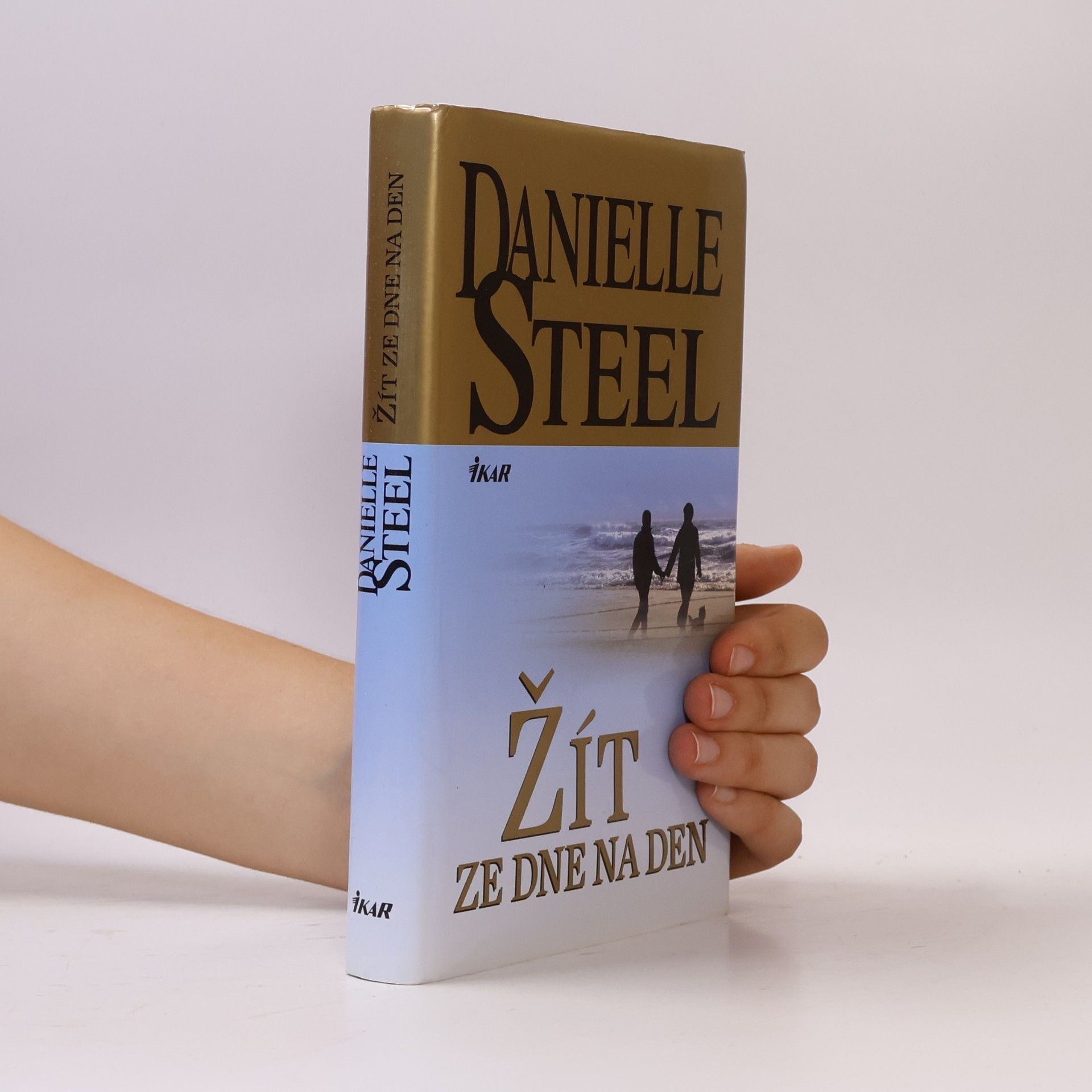 Danielle Steel Žít ze dne na den