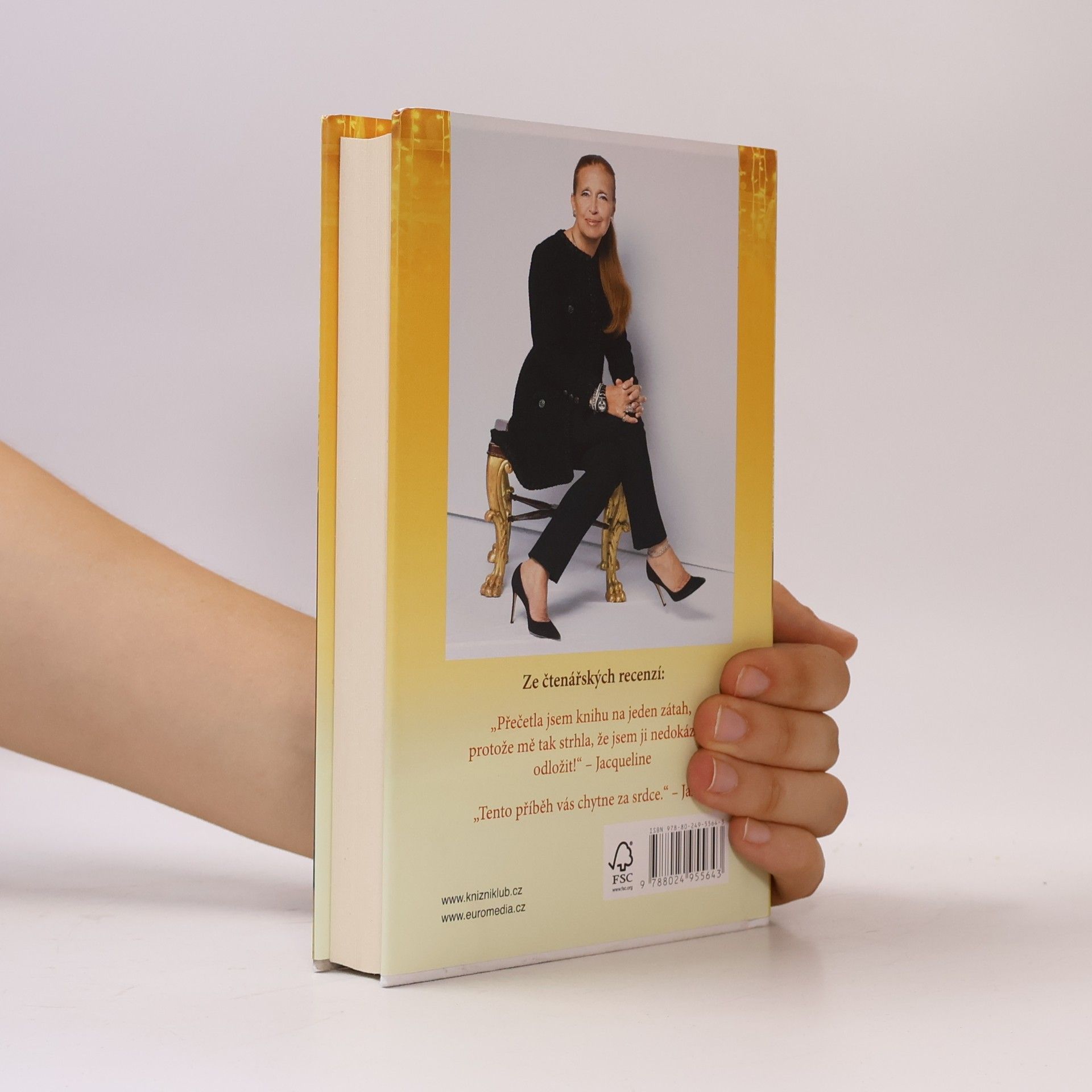 Danielle Steel Všechno, co se třpytí