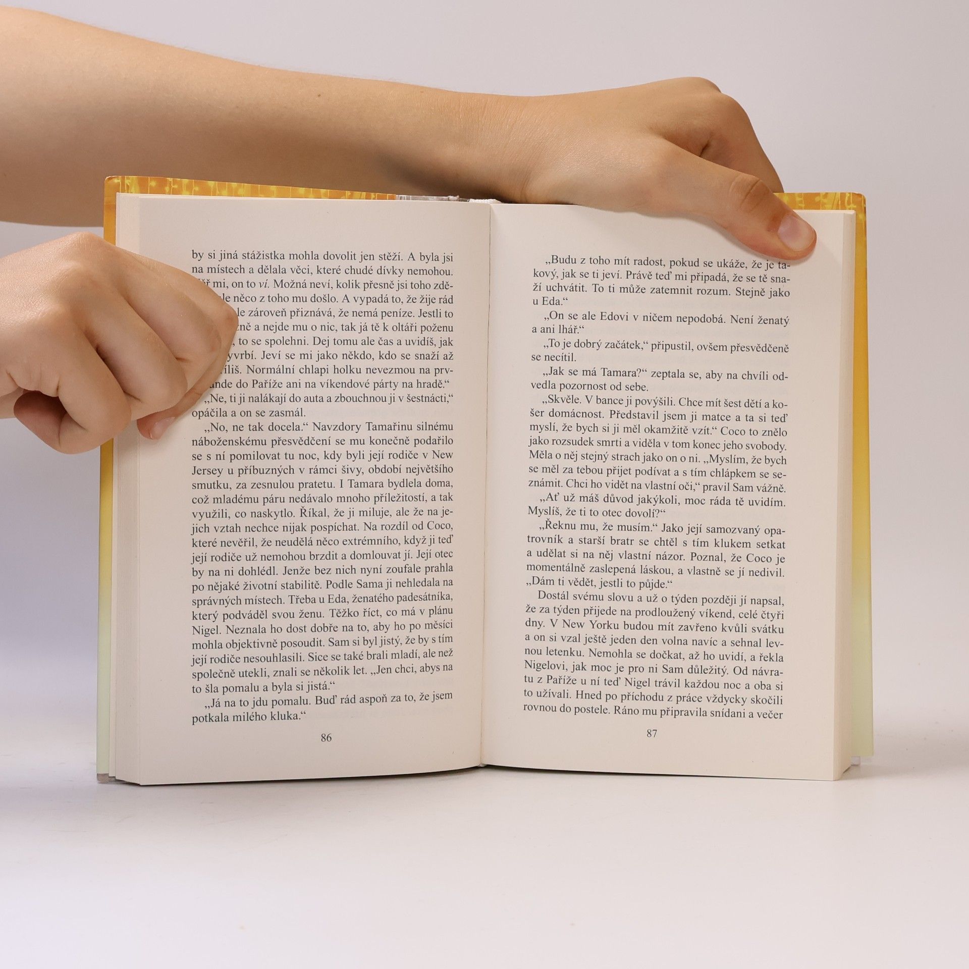 Danielle Steel Všechno, co se třpytí