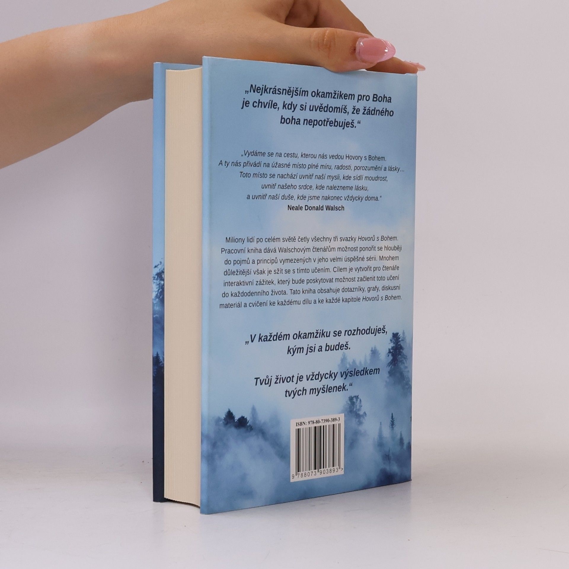 Neale Donald Walsch Hovory s Bohem: Pracovní kniha
