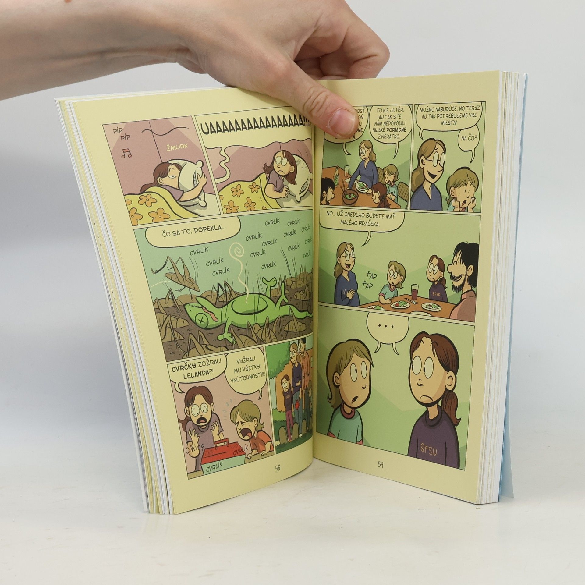 Raina Telgemeier Sestry