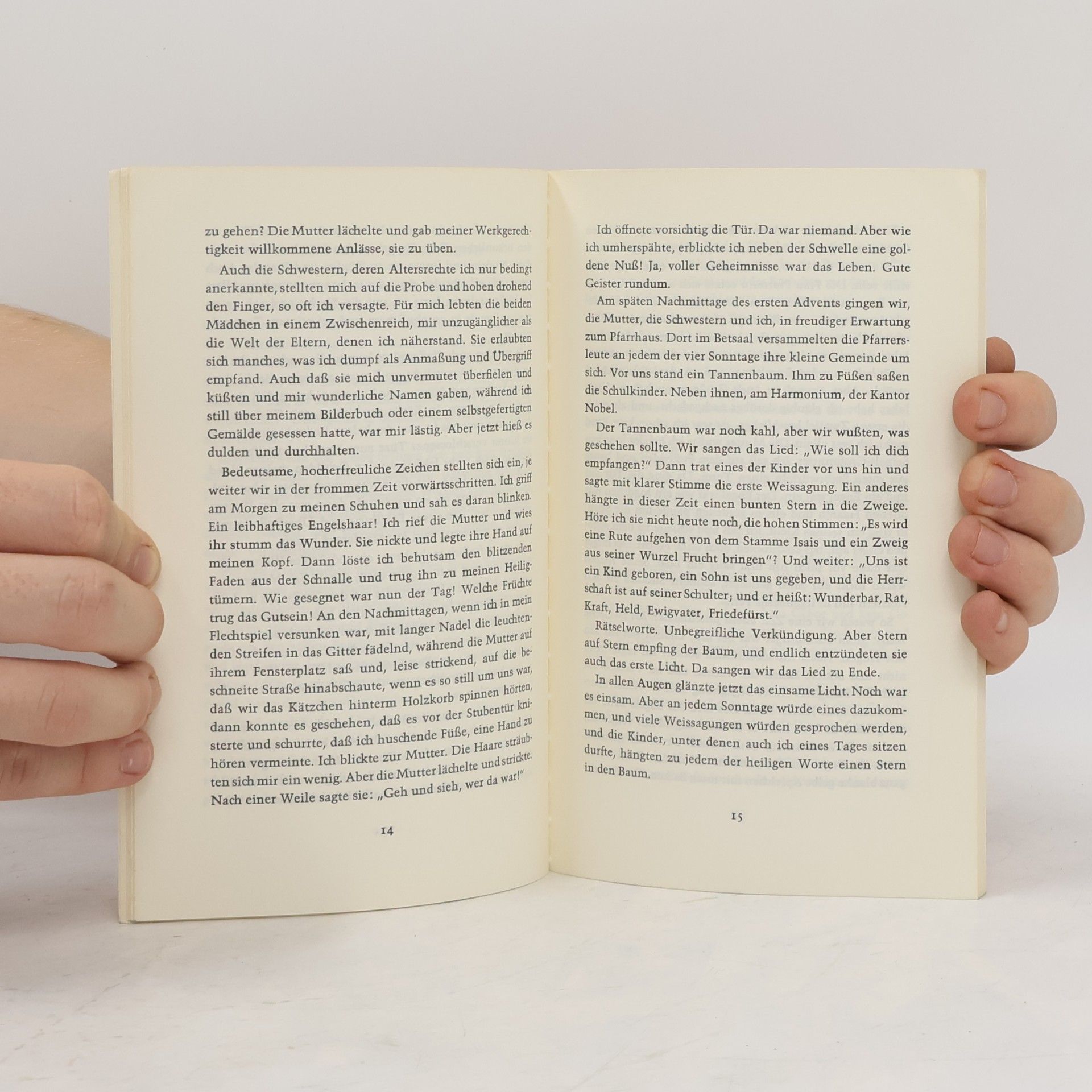 Autorenkollektiv Der Morgenstern ist aufgedrungen