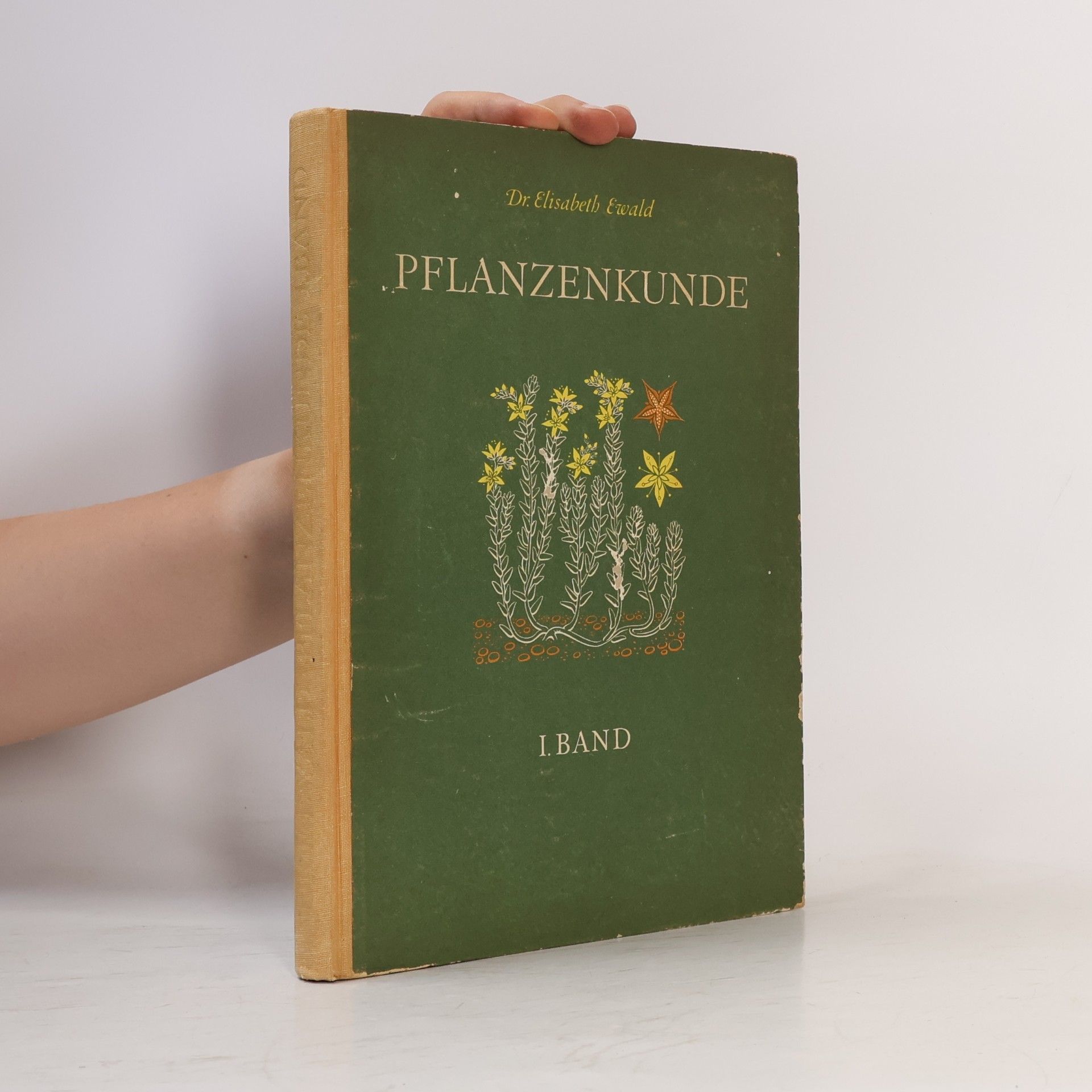Elisabeth Ewald Pflanzenkunde I. Band