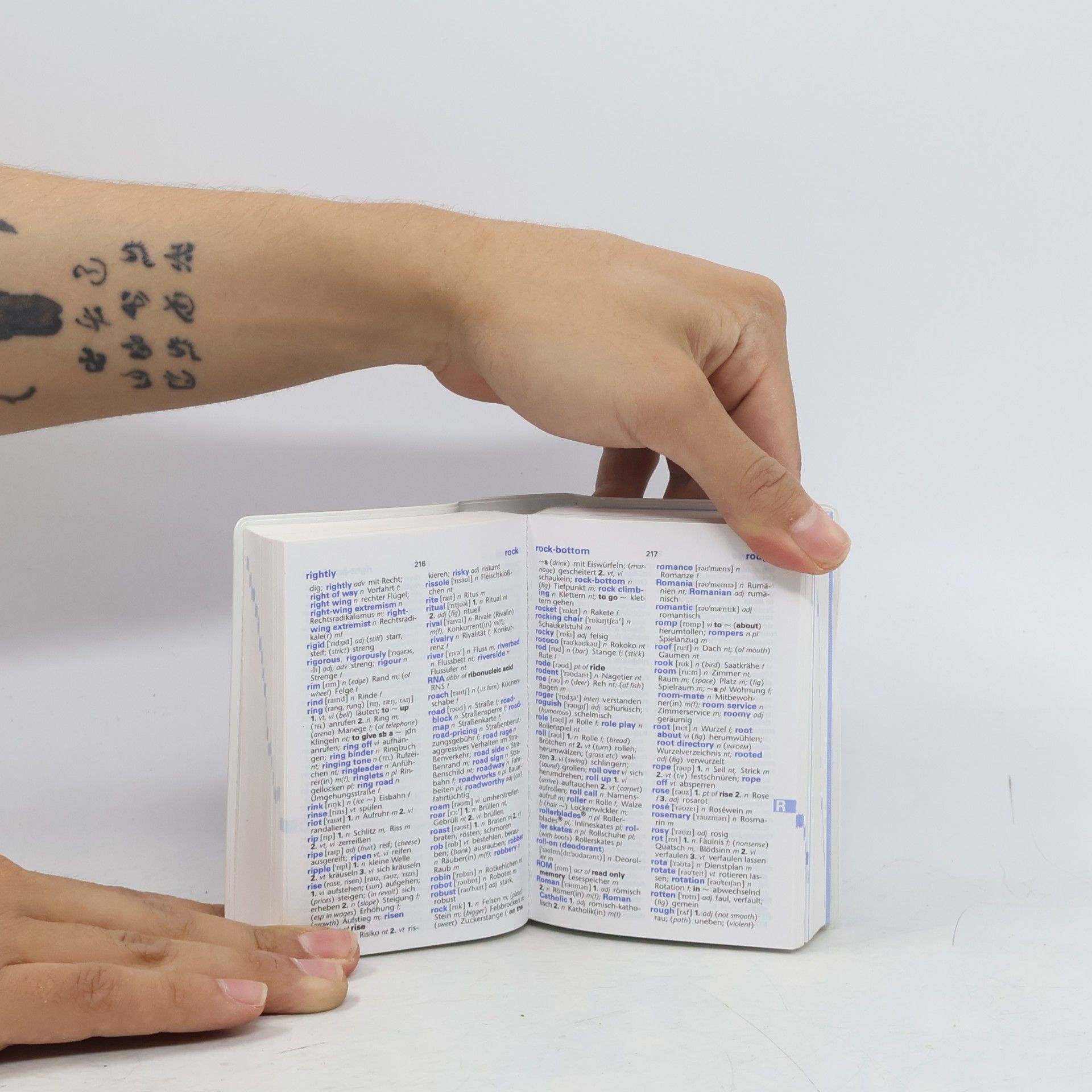 Kolektiv autorů Basiswörterbuch Englisch