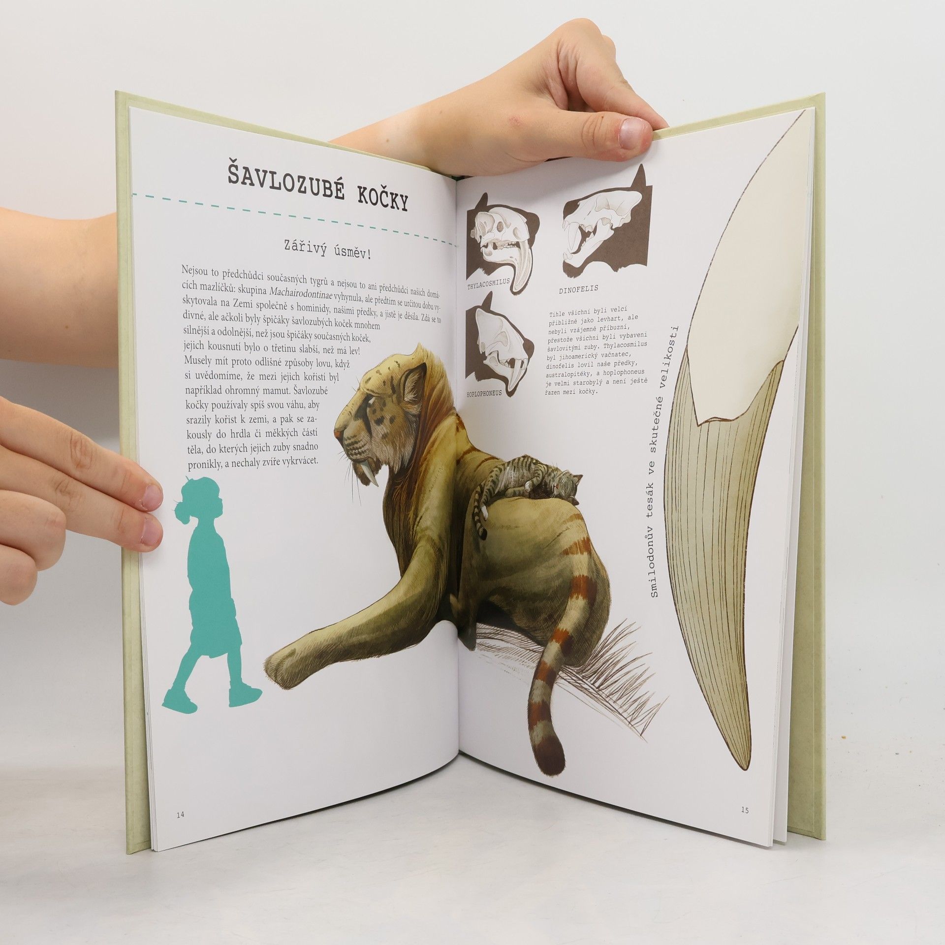 Autores varios To kuře je T-Rex! : velká kniha o evoluci zvířat