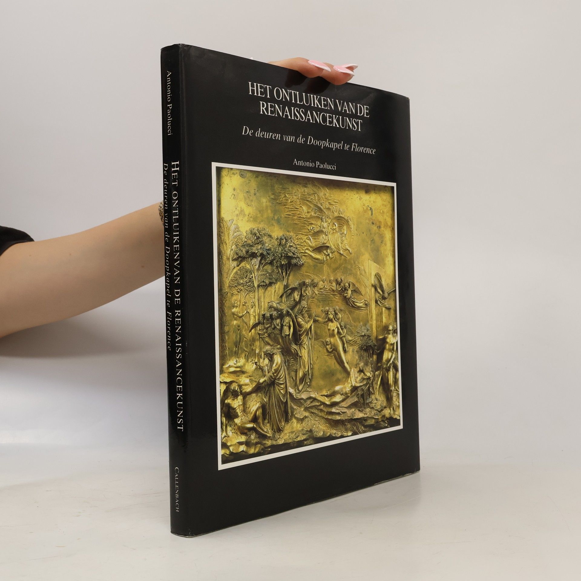 Het Ontluiken van de Renaissancekunst