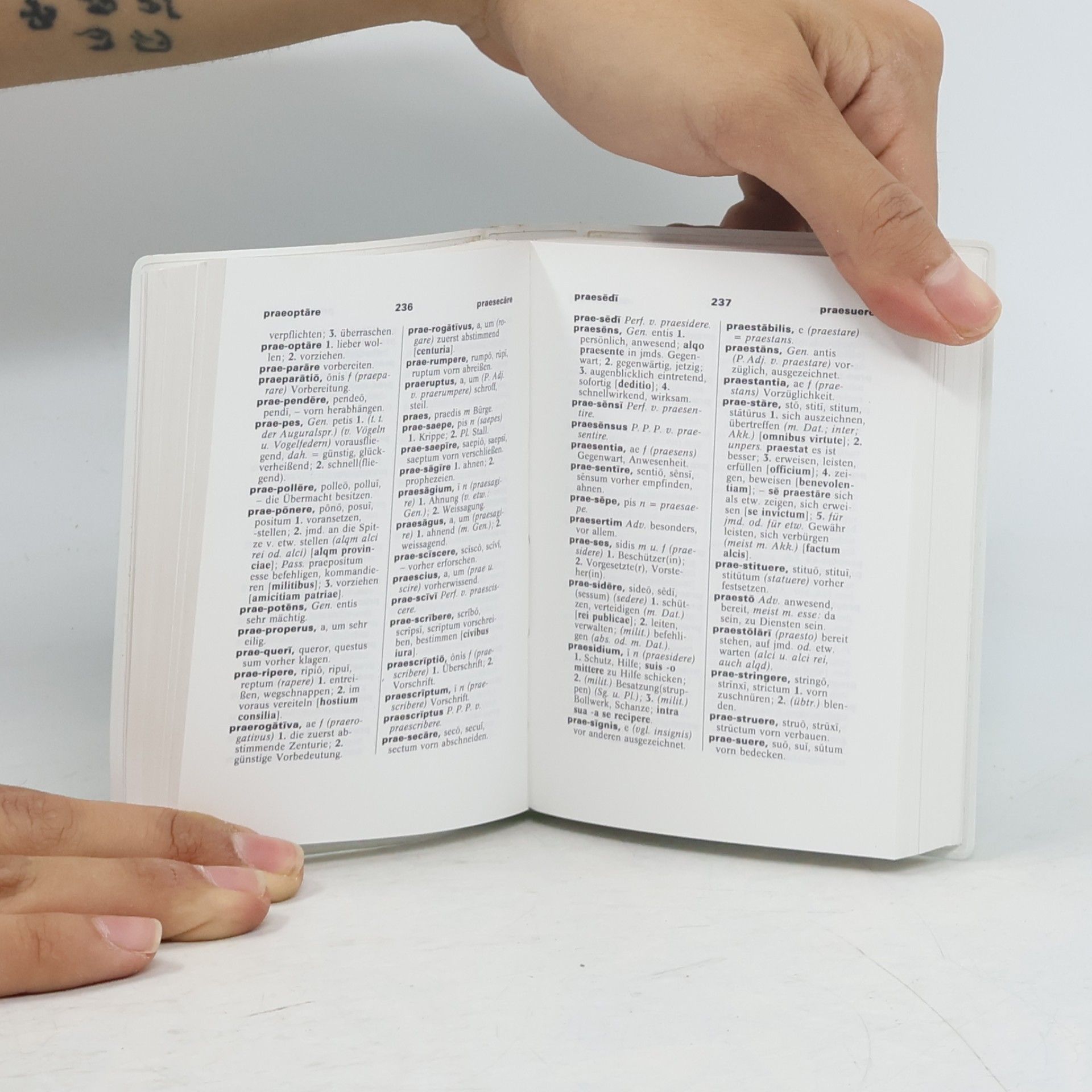 Rita Hau PONS Praxiswörterbuch